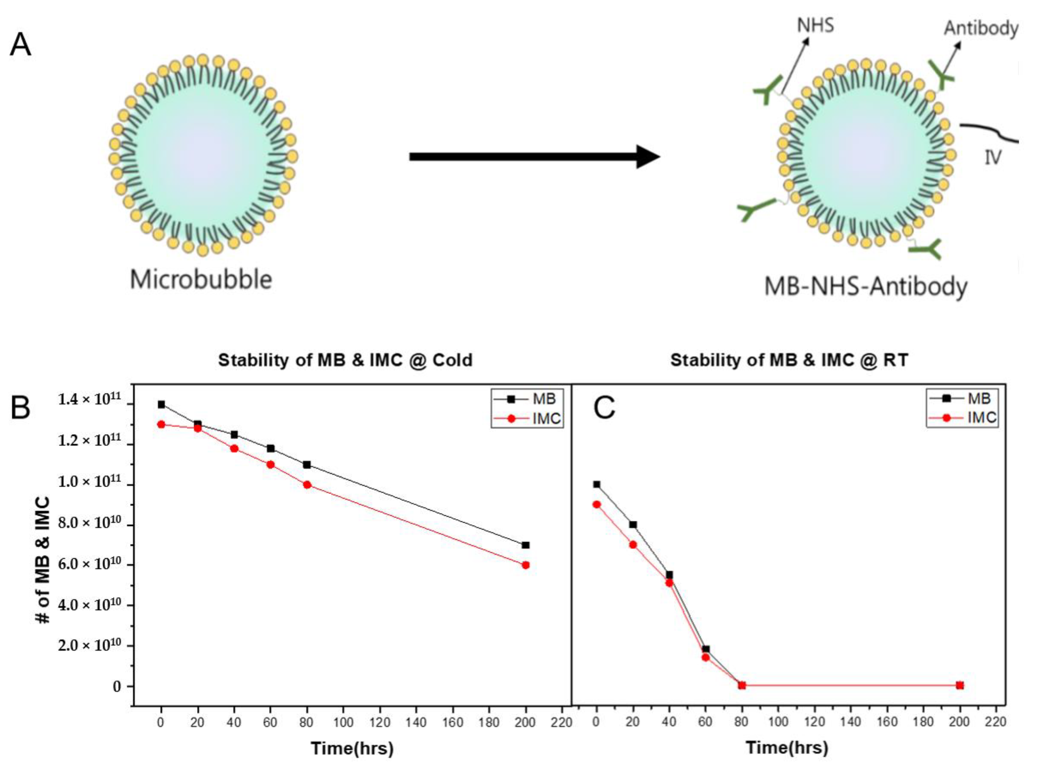 Pharmaceuticals 14 00006 g002