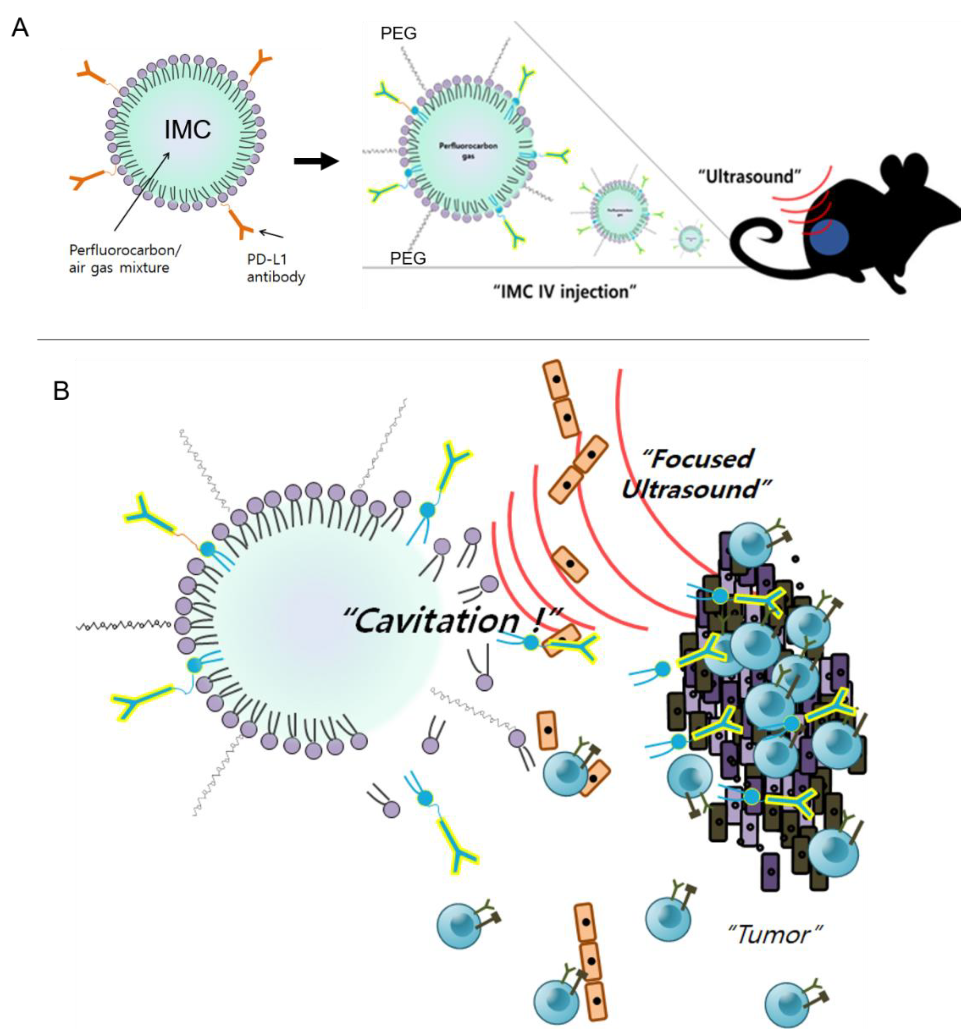 Pharmaceuticals 14 00006 g007