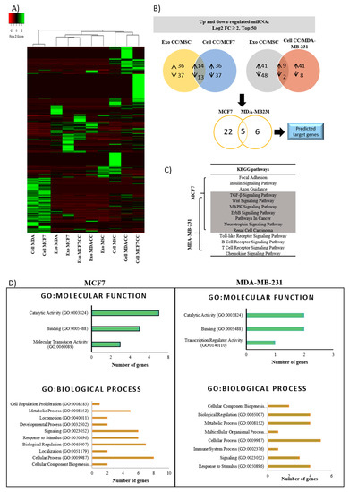 Pharmaceuticals 14 00008 g006