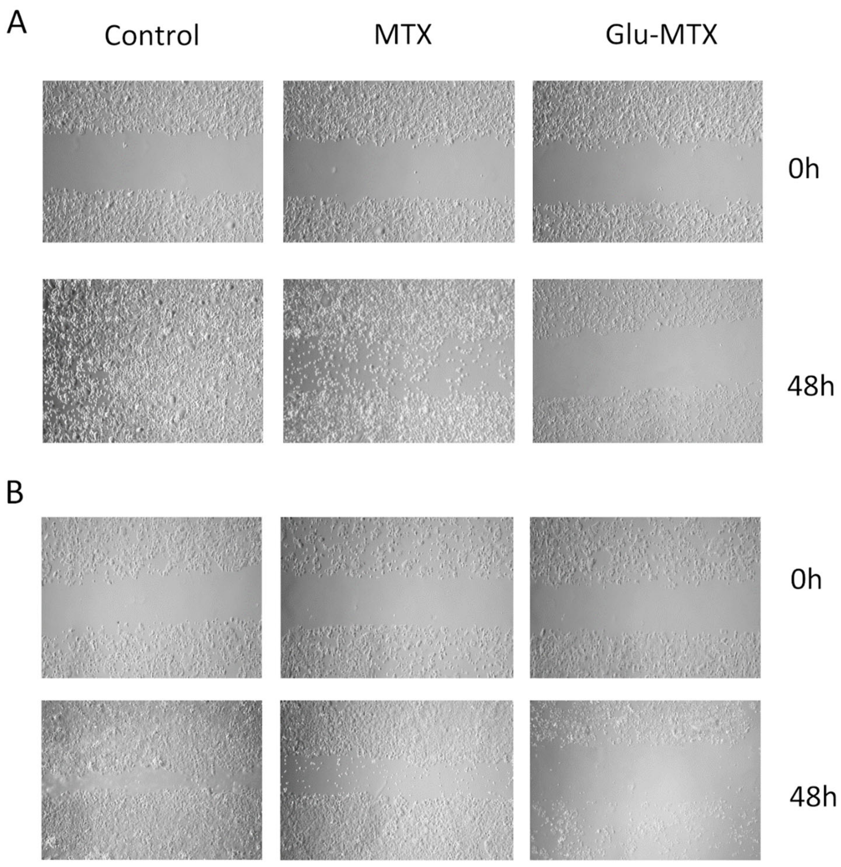 Pharmaceuticals 14 00013 g003