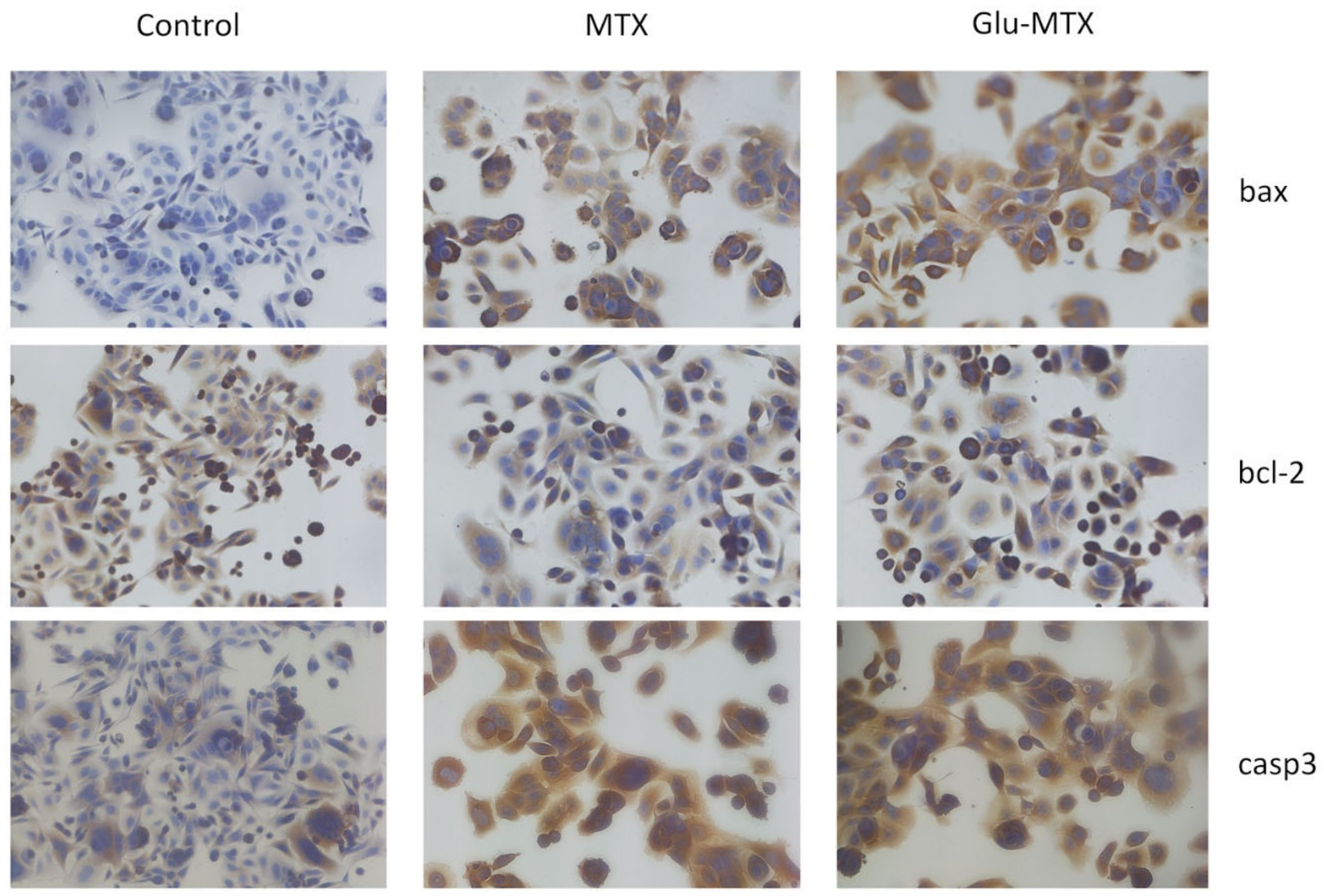 Pharmaceuticals 14 00013 g004