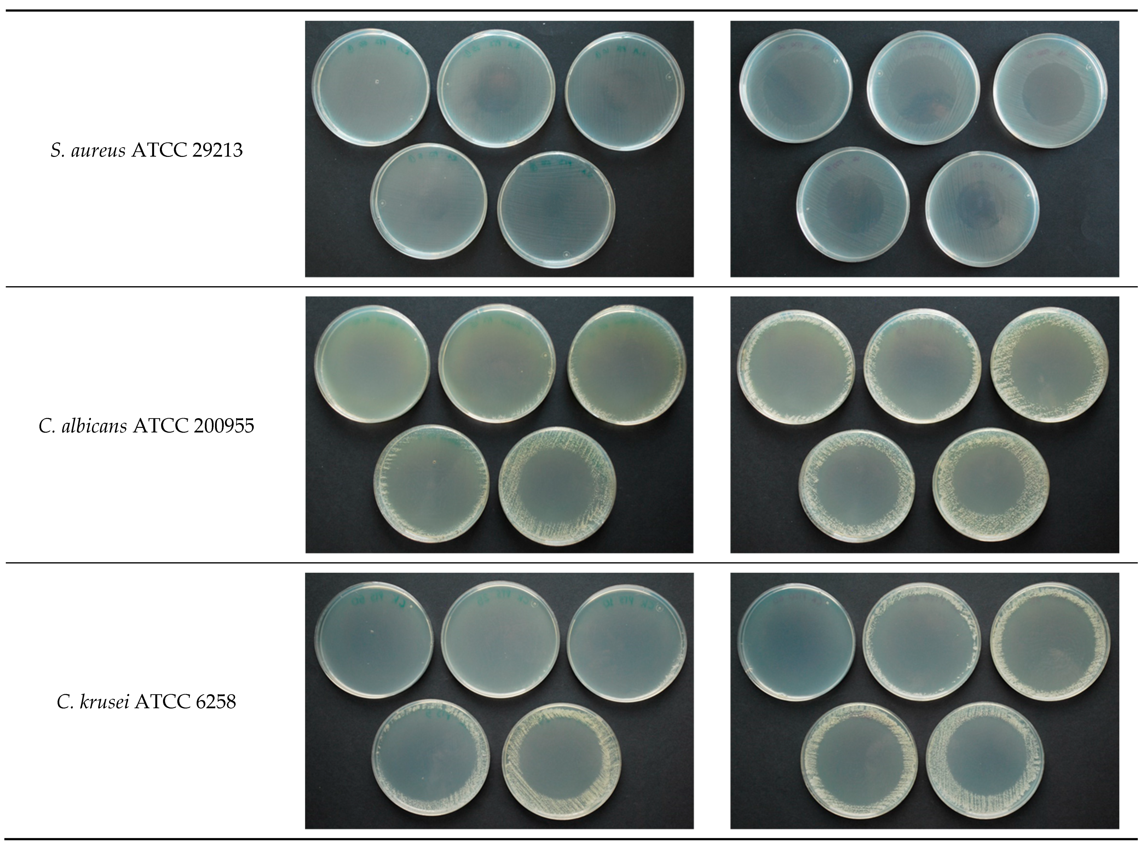 Pharmaceuticals 14 00021 g001b