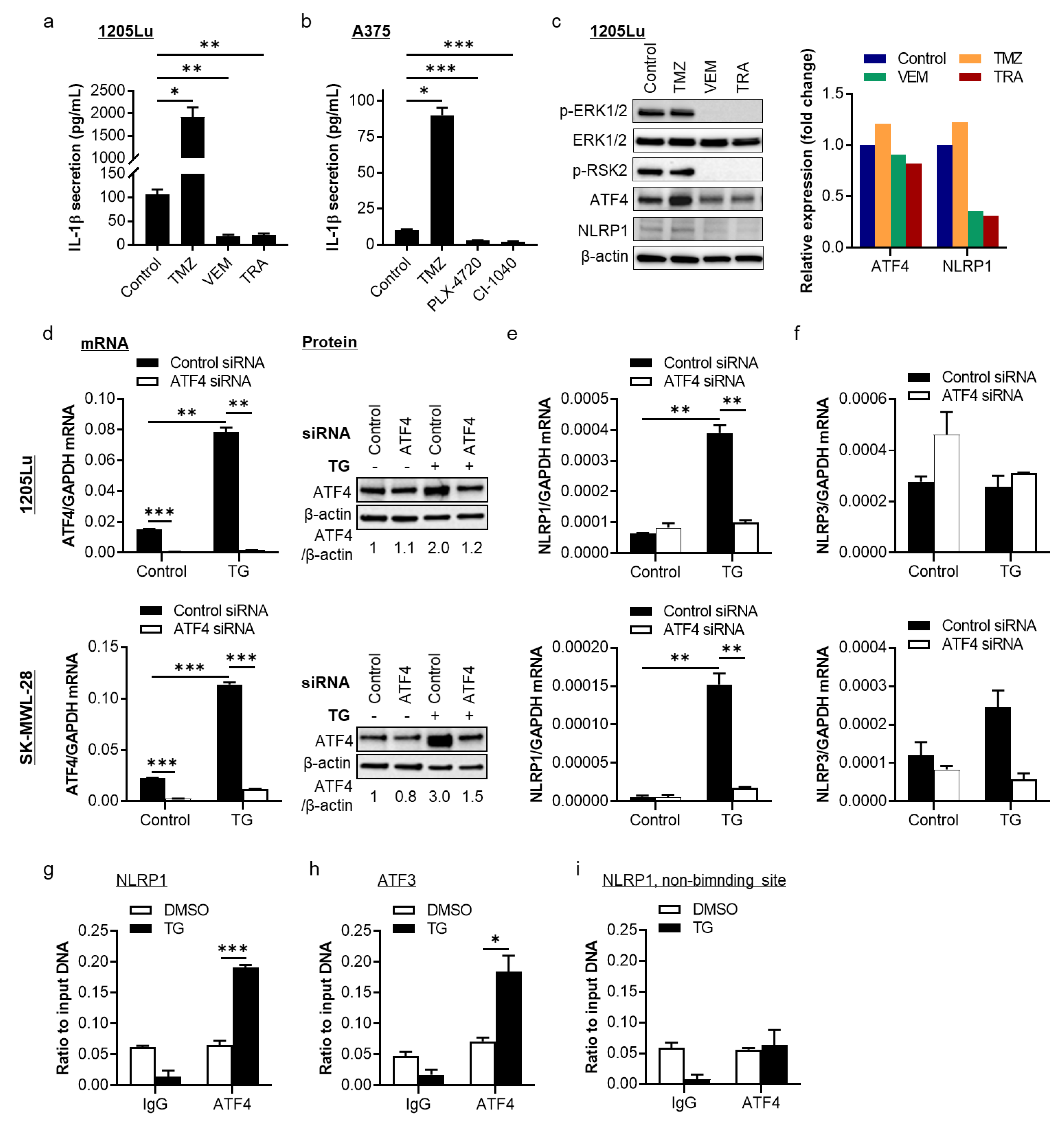 Pharmaceuticals 14 00023 g001 Pharmaceuticals 14 00023 g001