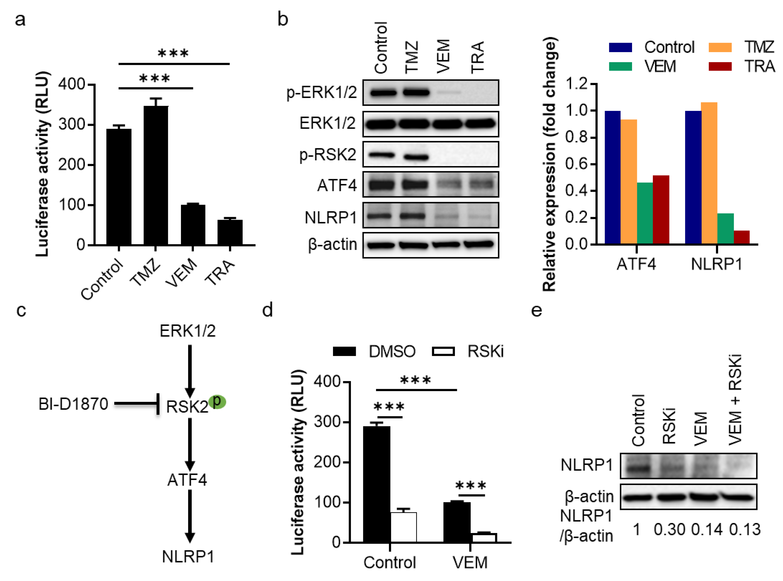 Pharmaceuticals 14 00023 g002 Pharmaceuticals 14 00023 g002