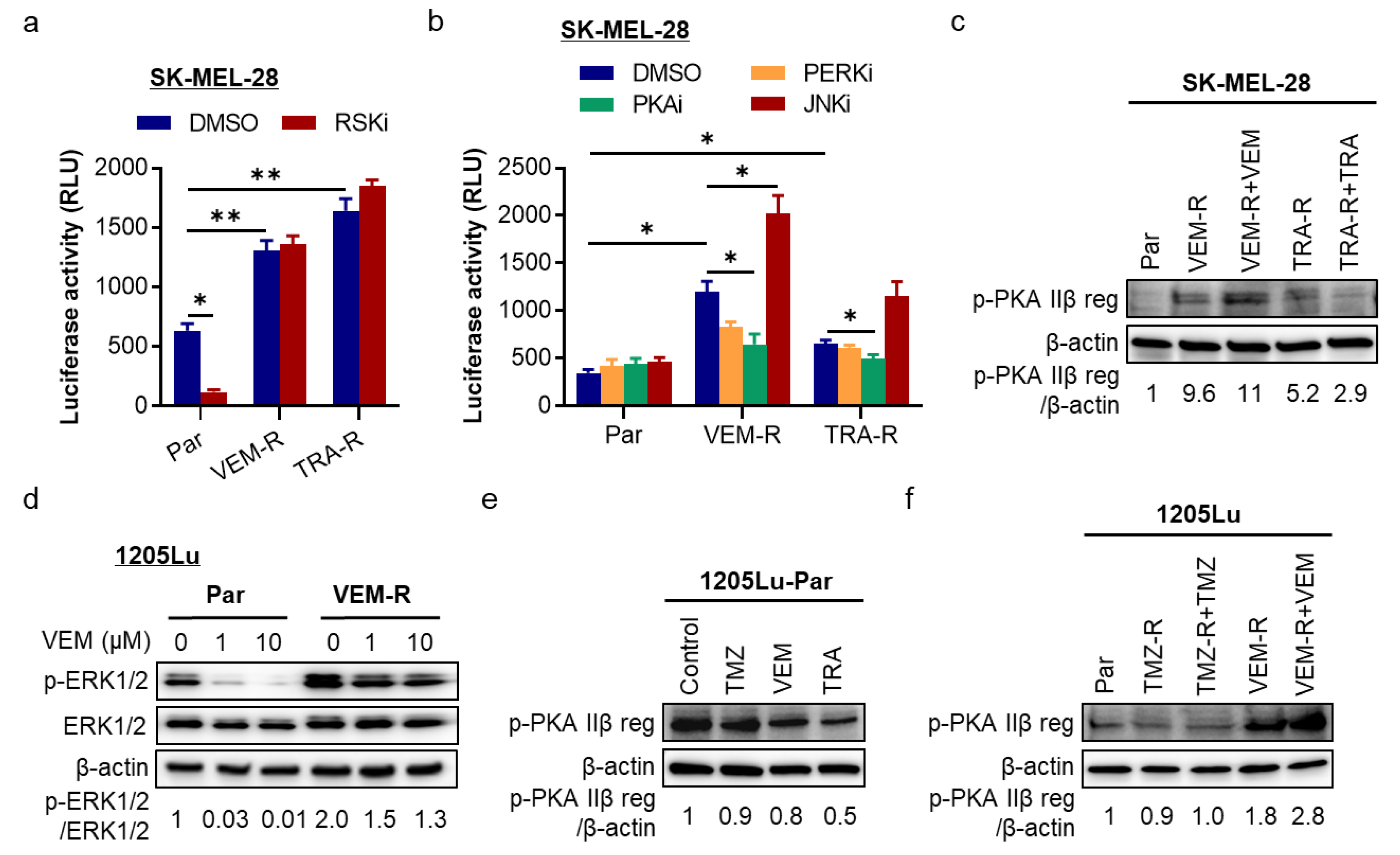Pharmaceuticals 14 00023 g004 Pharmaceuticals 14 00023 g004