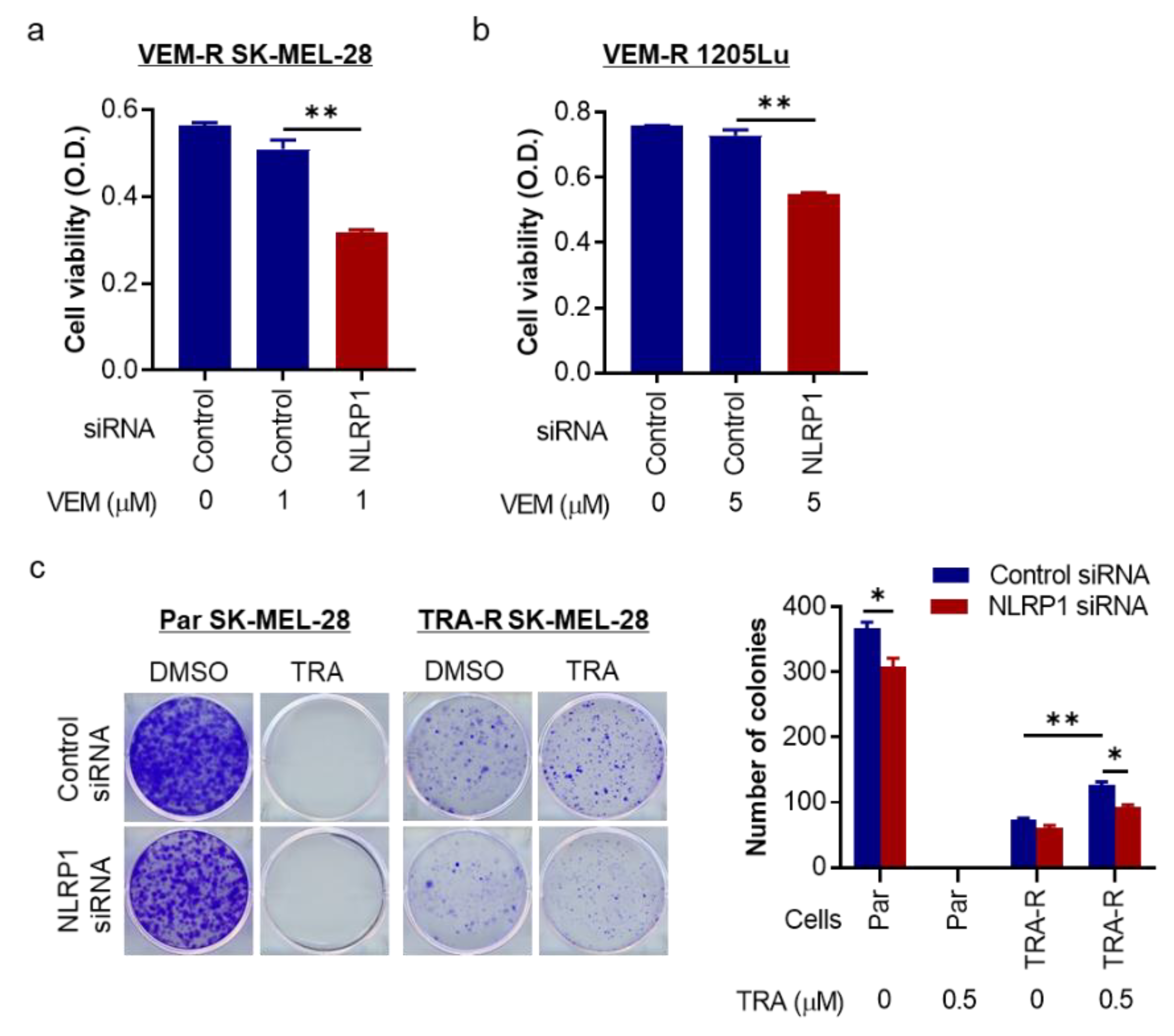 Pharmaceuticals 14 00023 g005 Pharmaceuticals 14 00023 g005