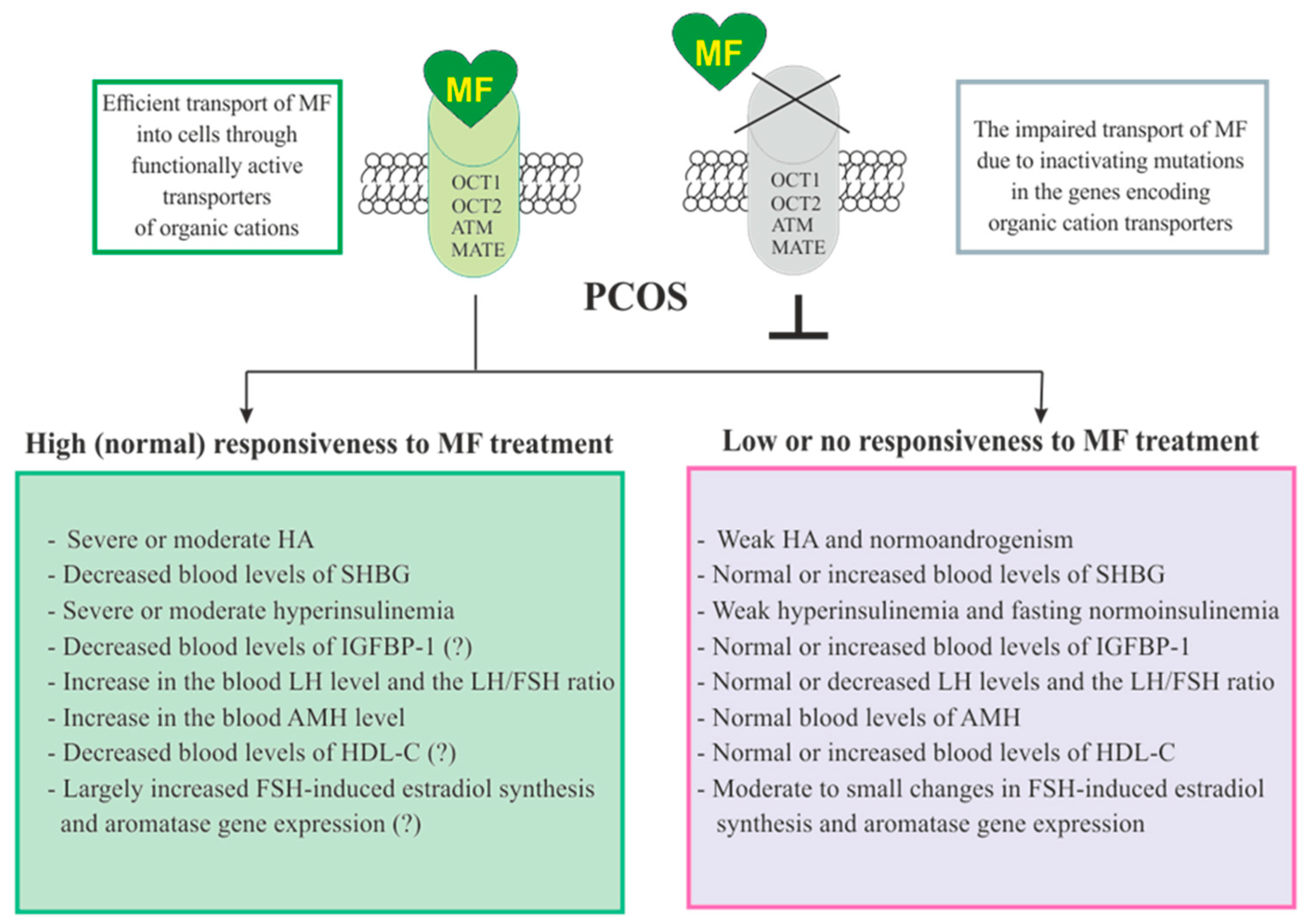 Pharmaceuticals 14 00042 g003