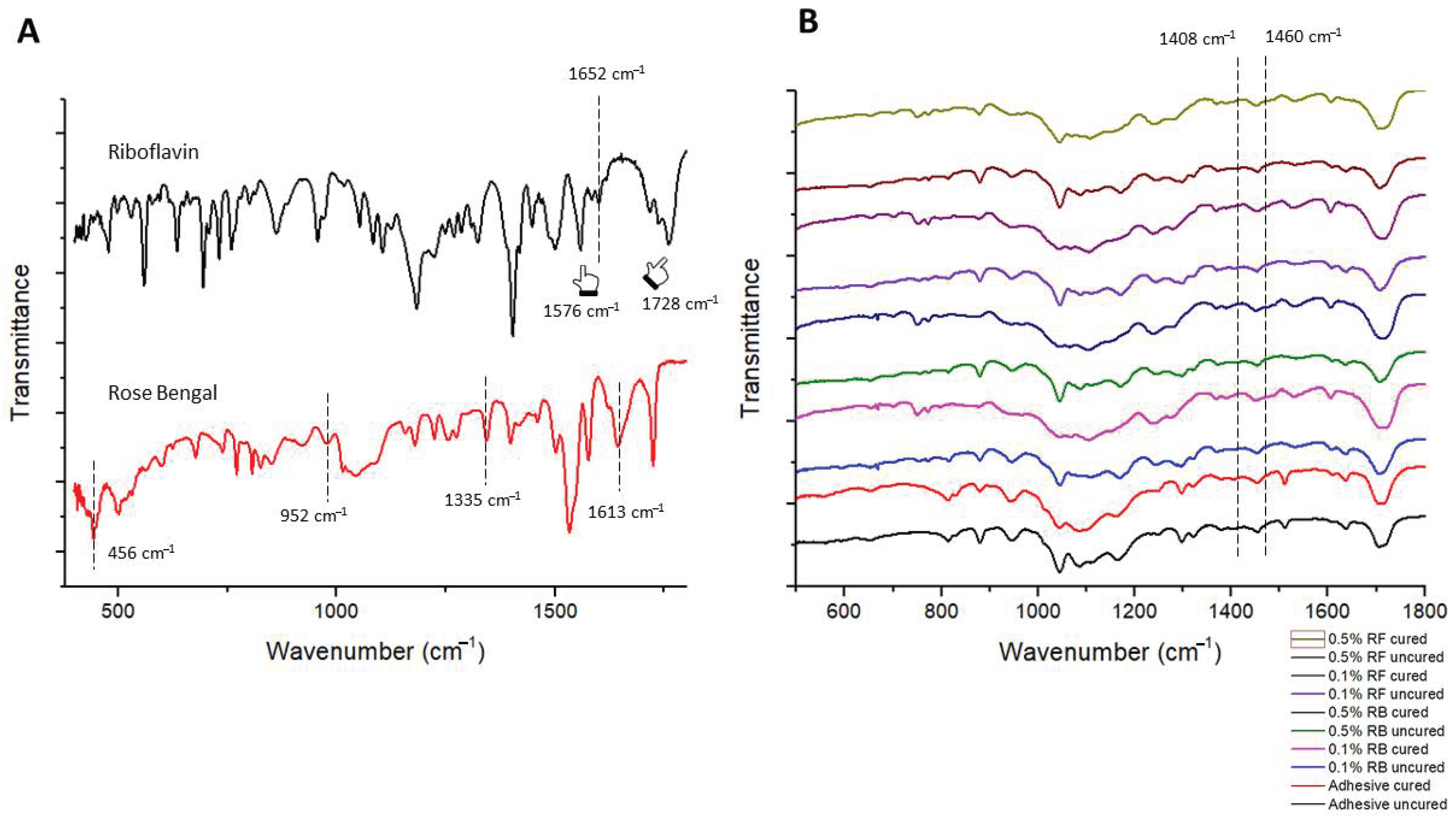 Pharmaceuticals 14 00048 g001