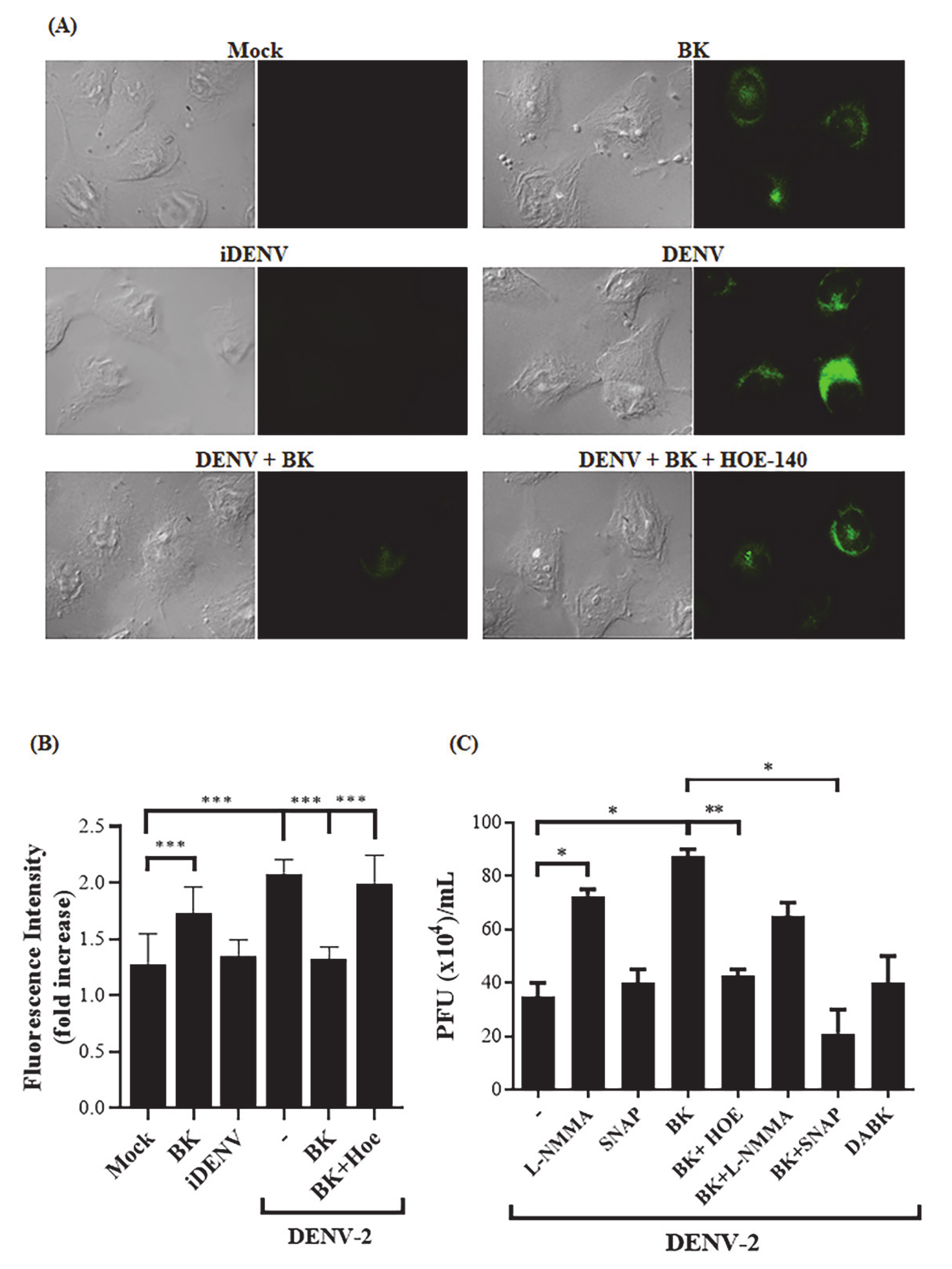 Pharmaceuticals 14 00056 g003