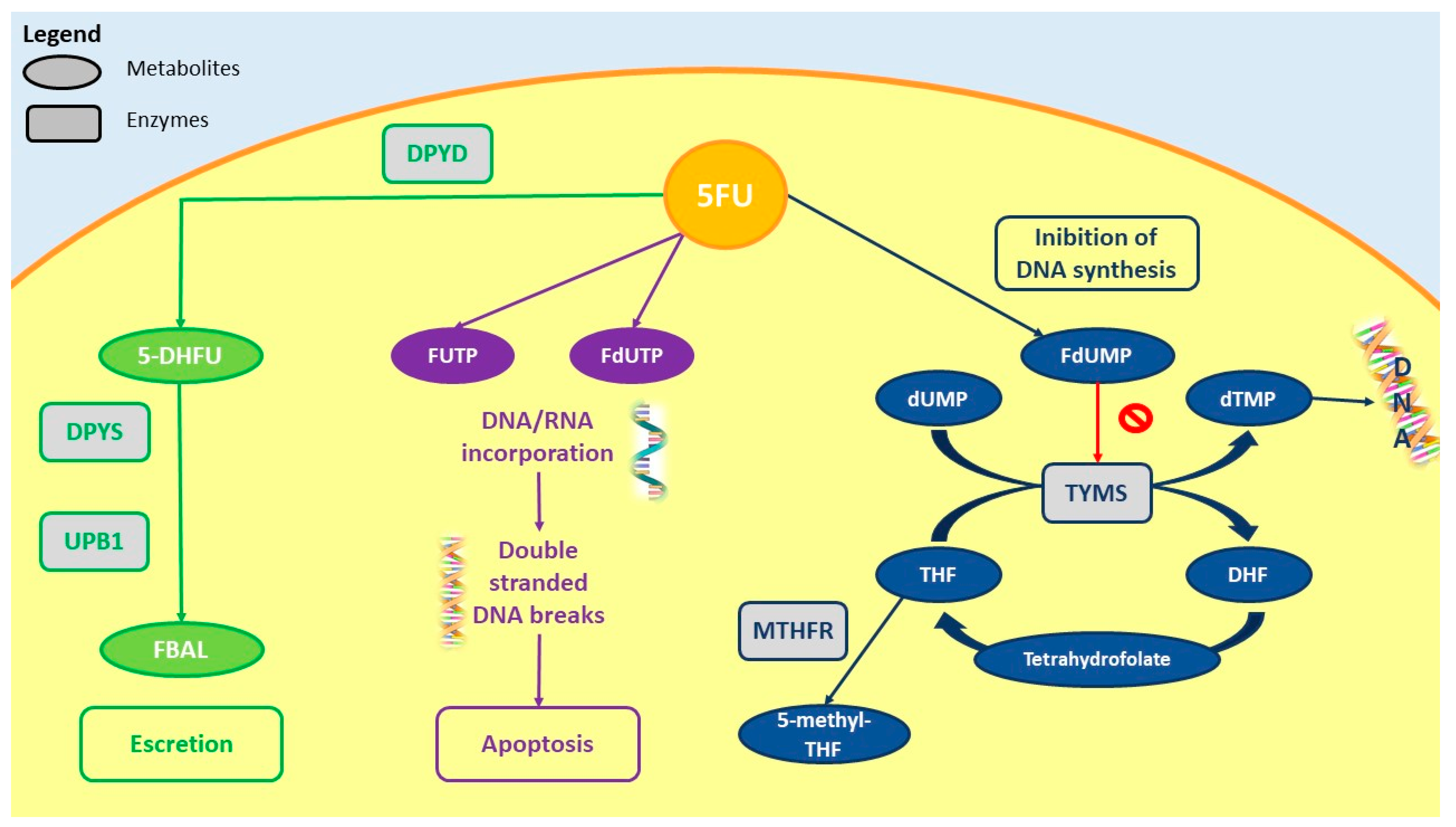 Pharmaceuticals 14 00067 g001