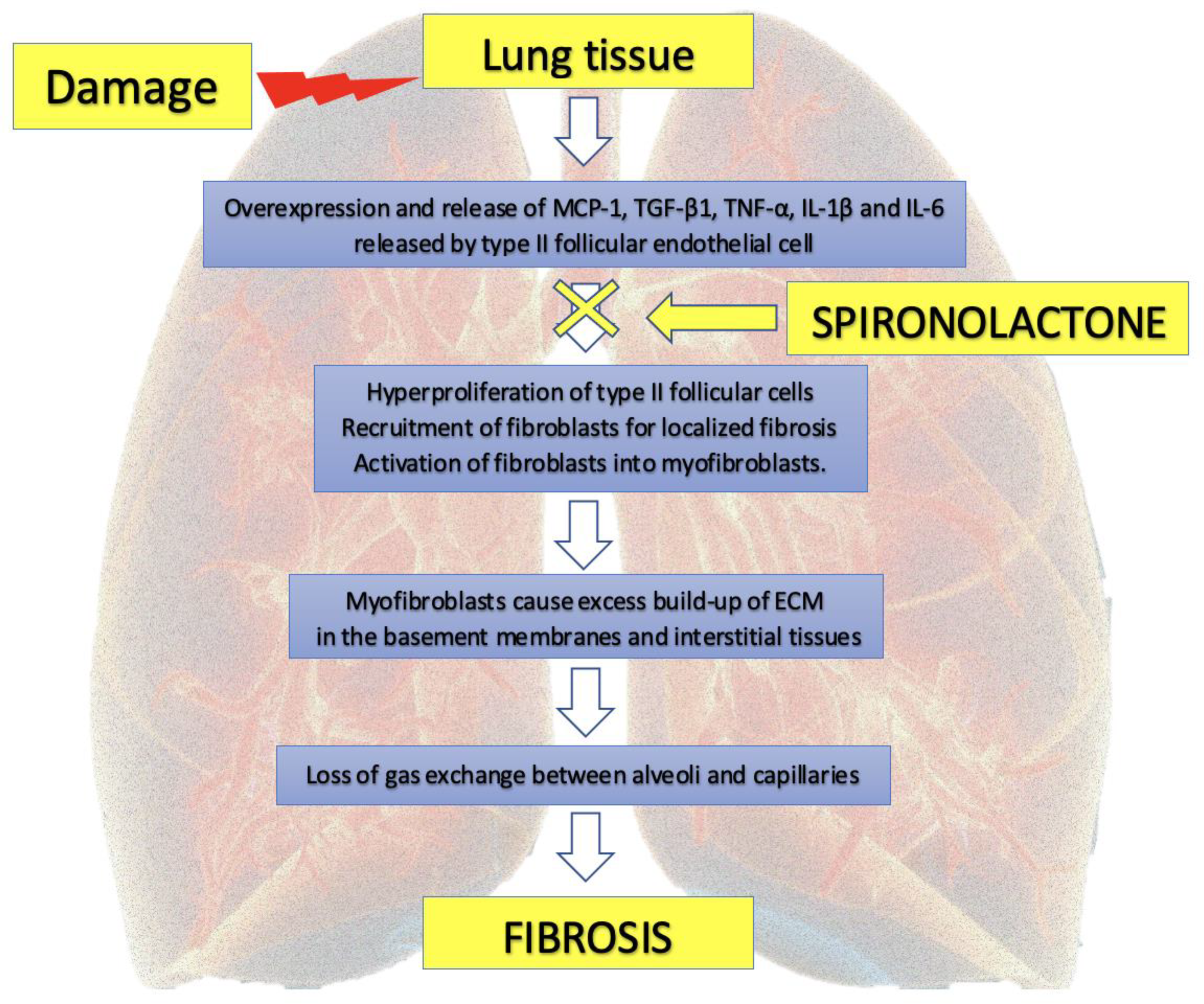 Pharmaceuticals 14 00071 g003