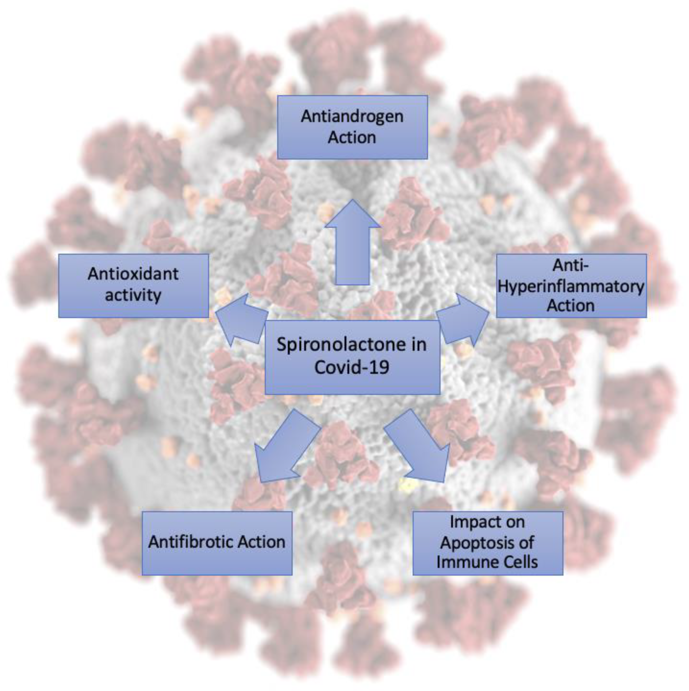 Pharmaceuticals 14 00071 g004