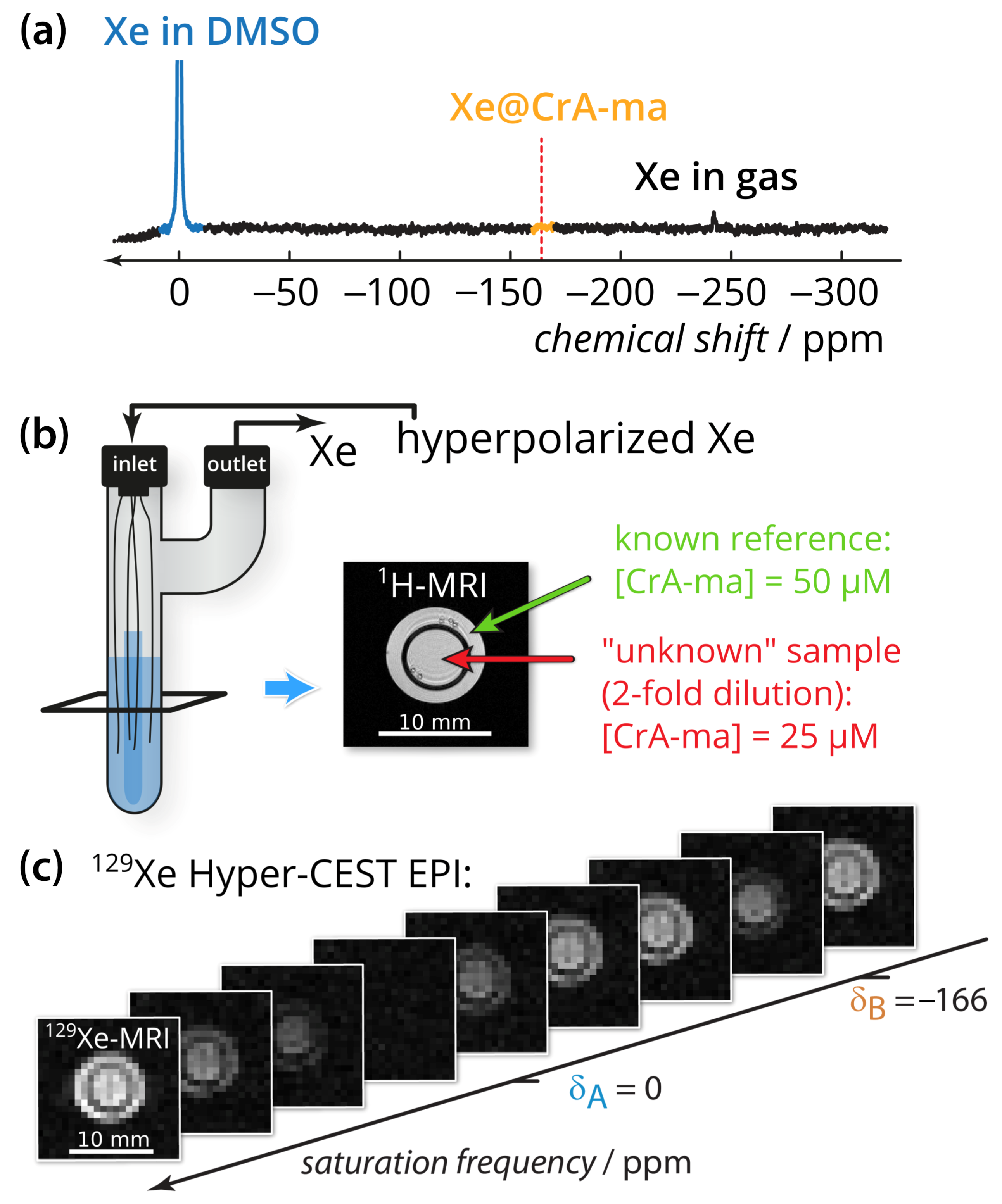 Pharmaceuticals 14 00079 g001 Pharmaceuticals 14 00079 g001