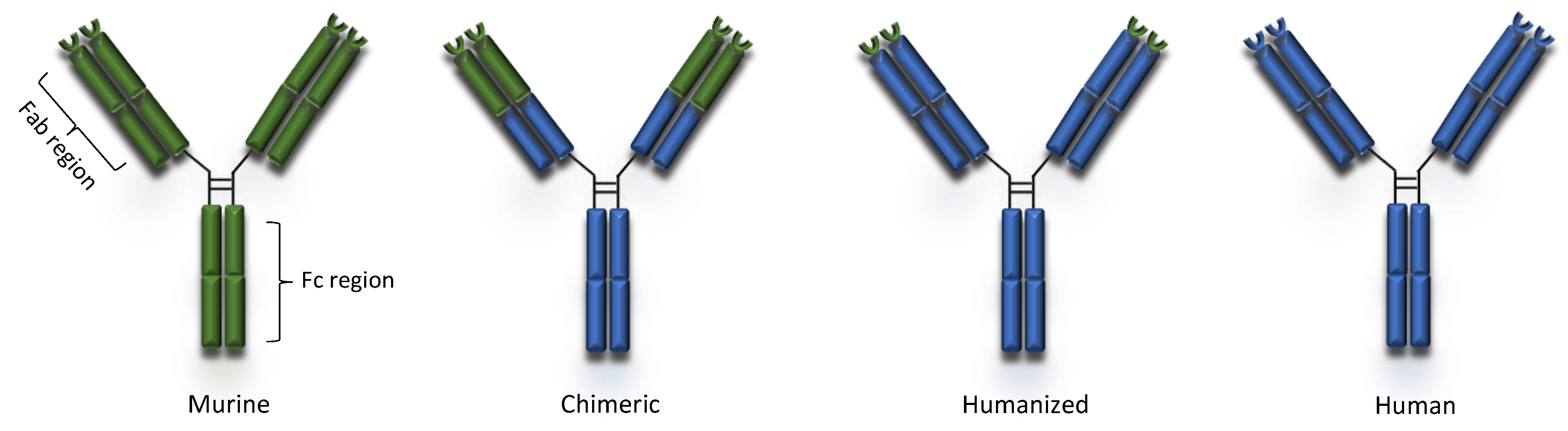 Pharmaceuticals 14 00092 g001