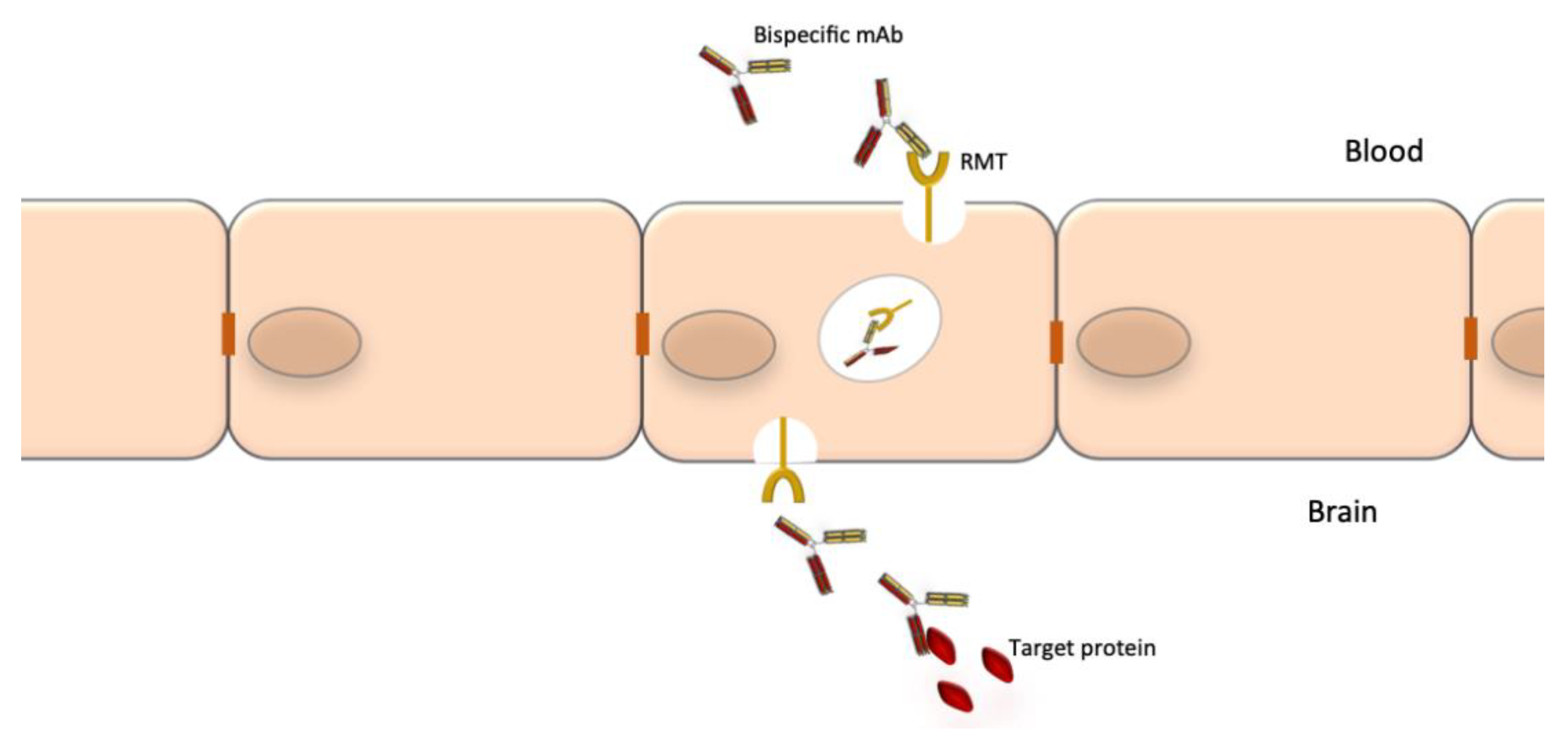 Pharmaceuticals 14 00092 g003