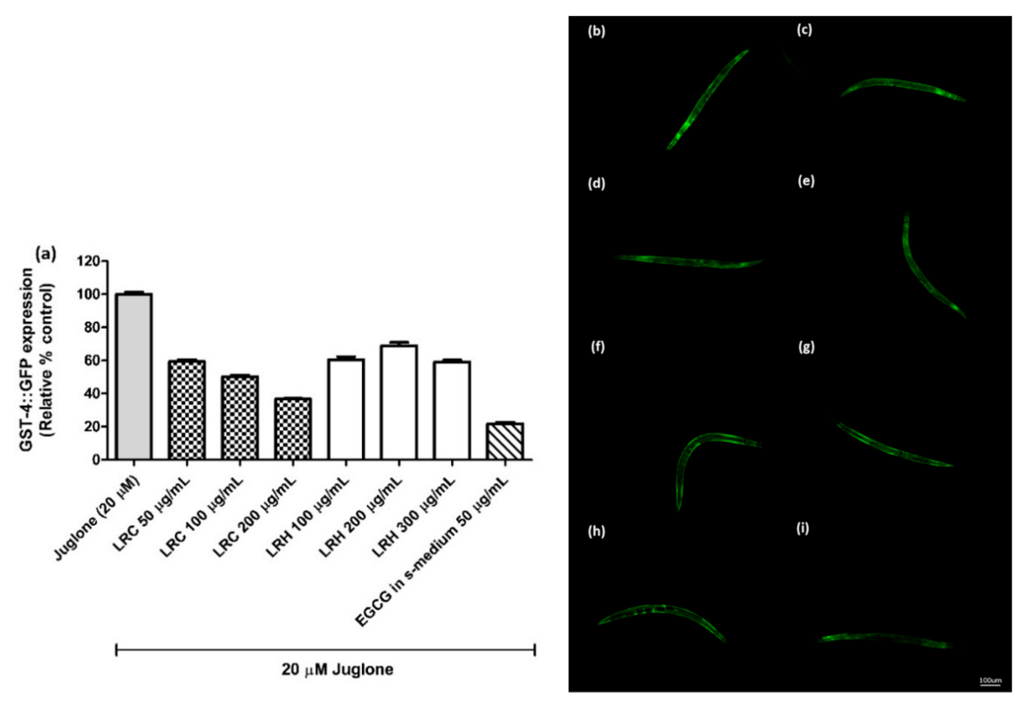 Pharmaceuticals 14 00093 g008 Pharmaceuticals 14 00093 g008