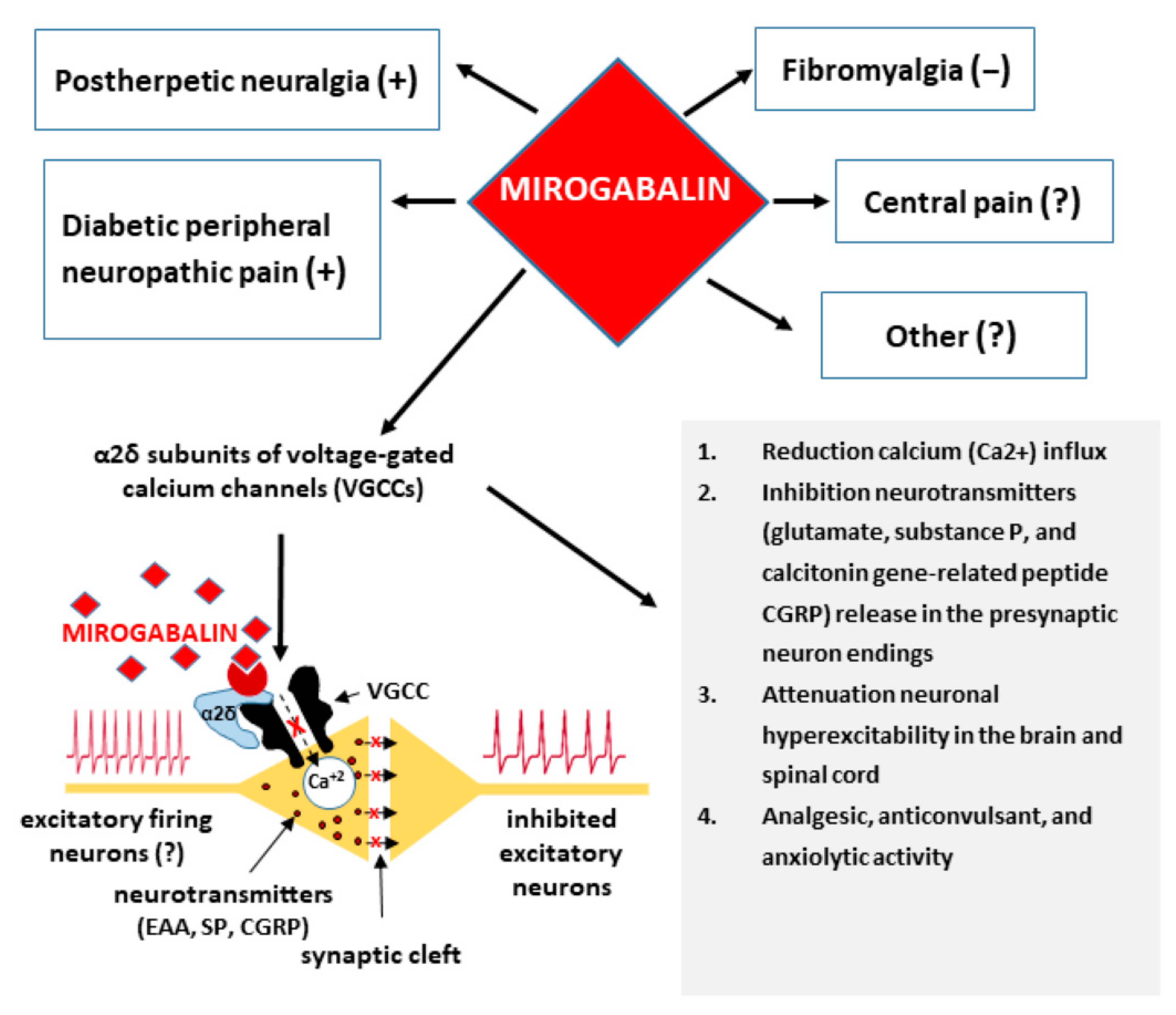 Pharmaceuticals 14 00112 g002