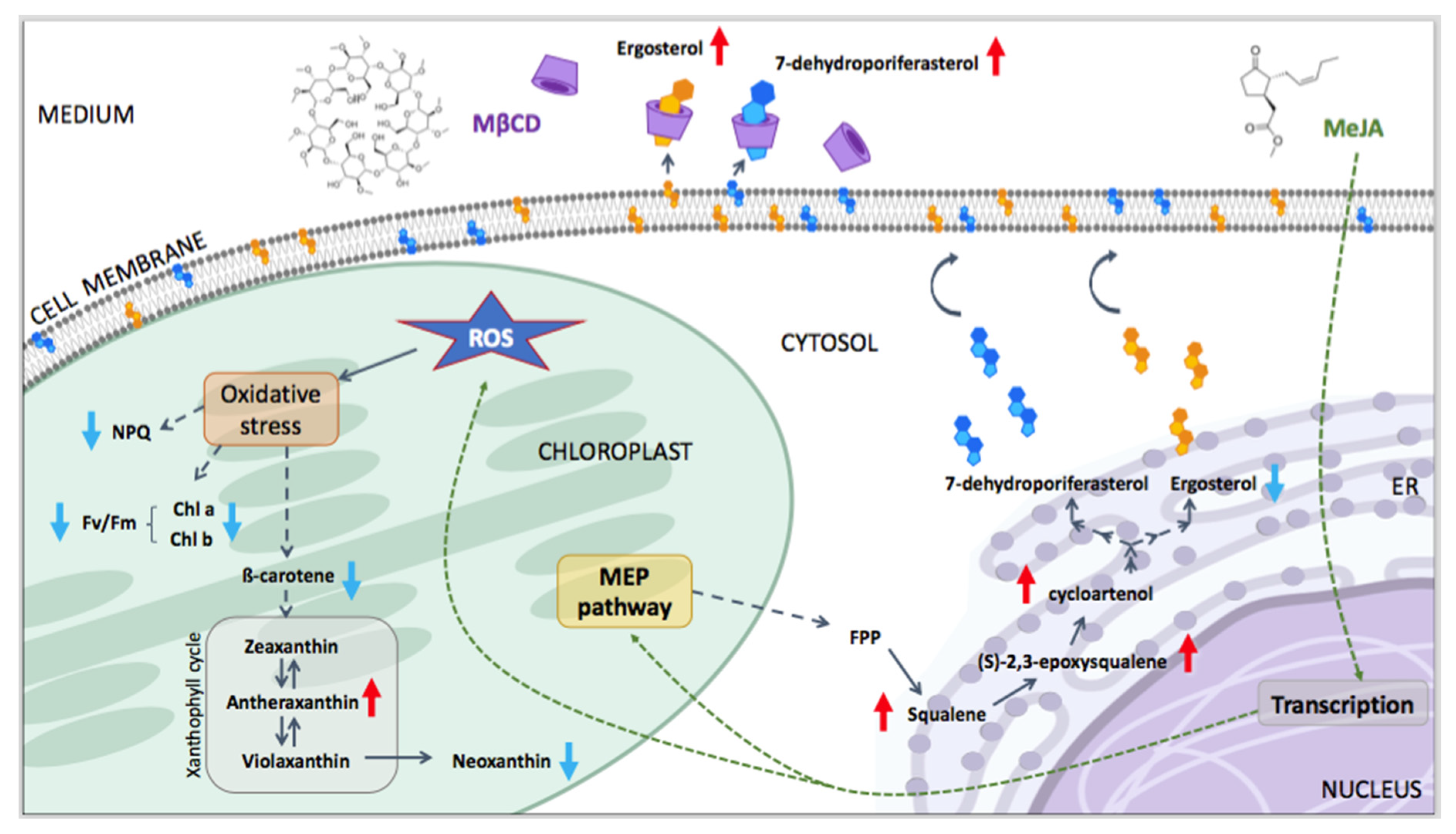 Pharmaceuticals 14 00125 g003
