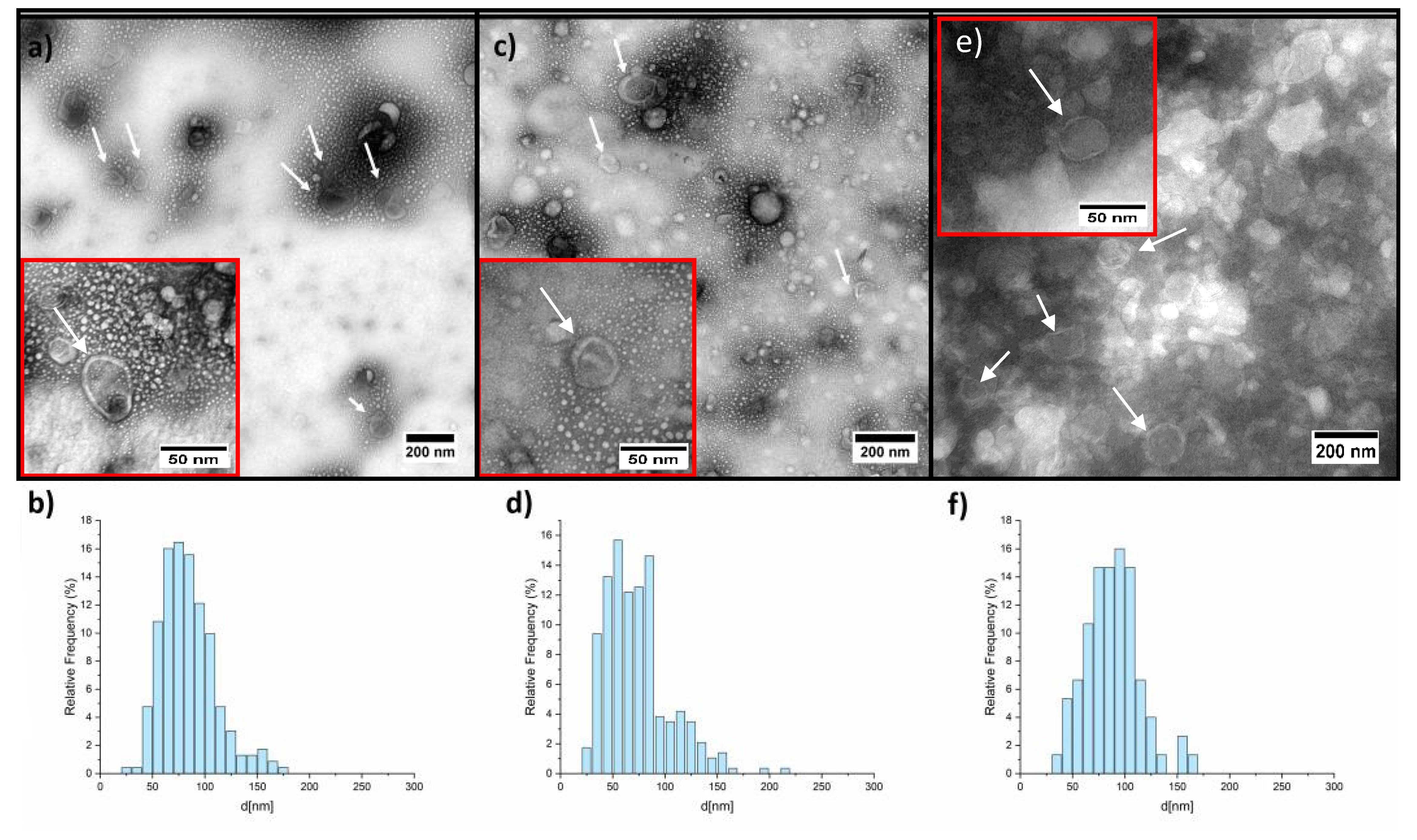 Pharmaceuticals 14 00128 g004