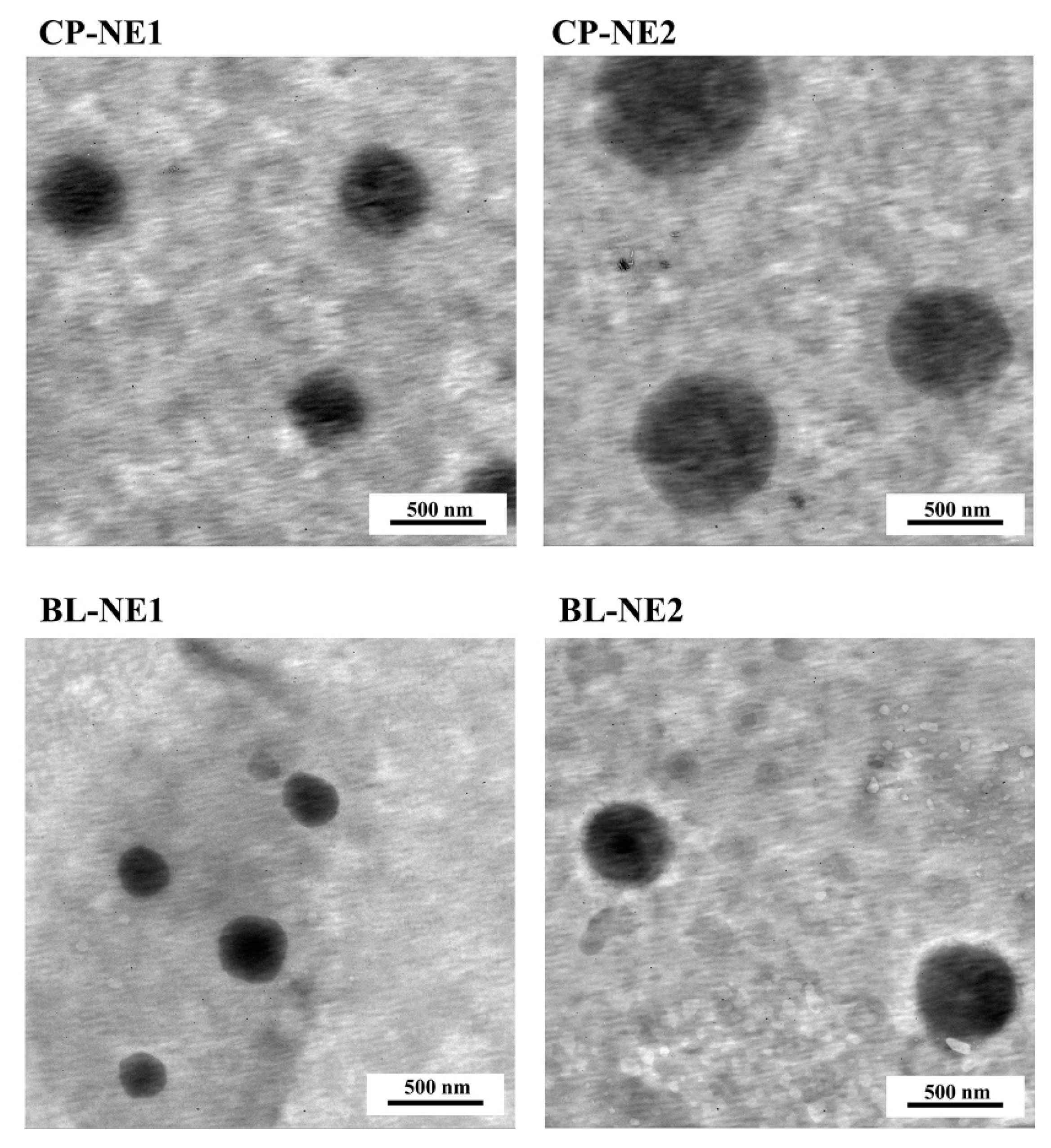 Pharmaceuticals 14 00132 g003