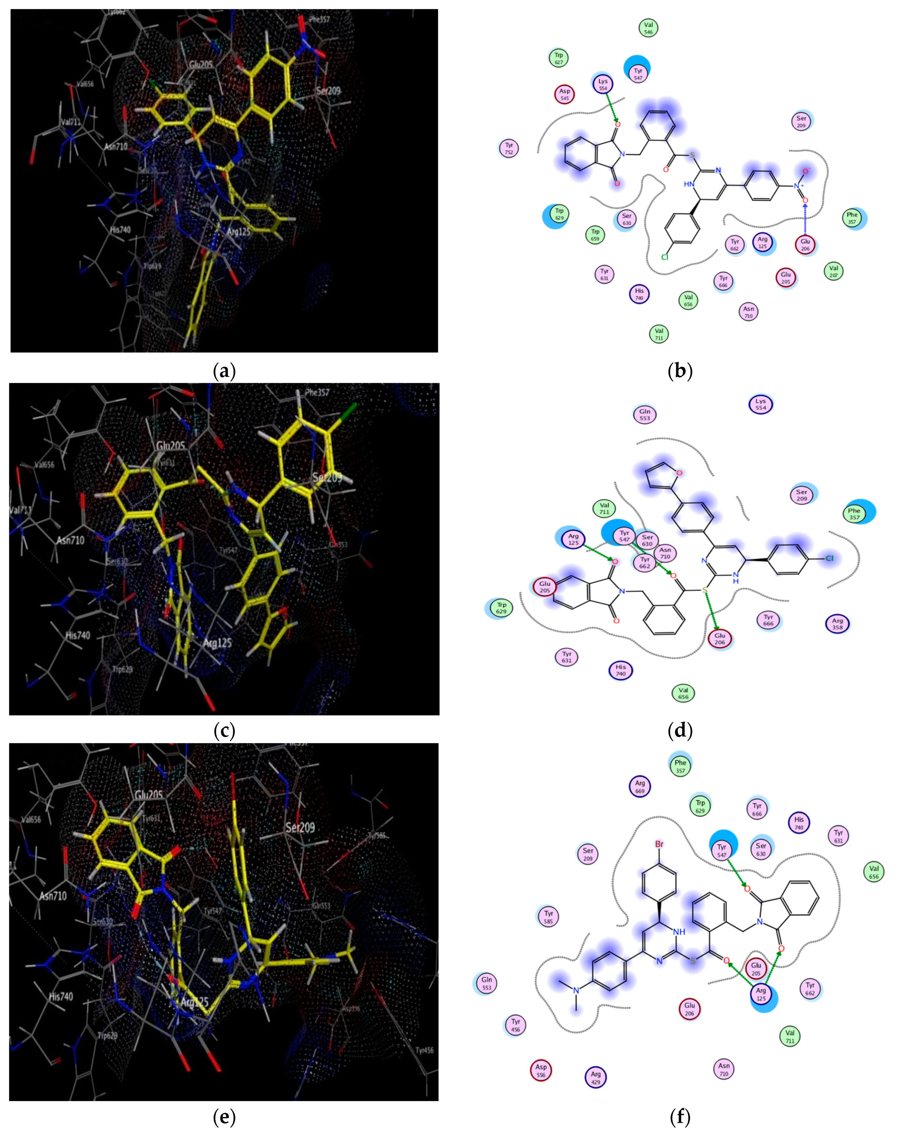 Pharmaceuticals 14 00144 g006a