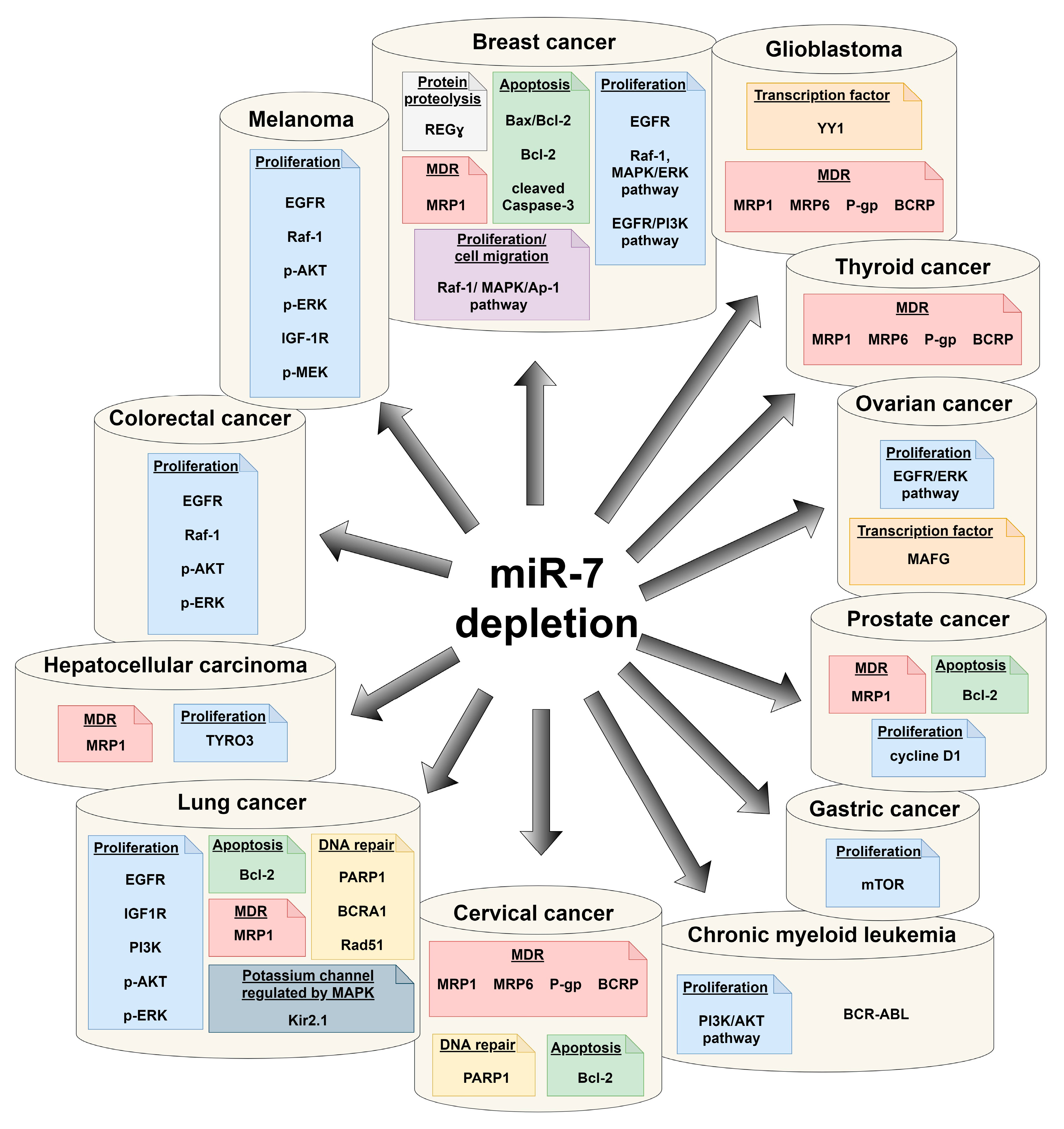 Pharmaceuticals 14 00149 g003 Pharmaceuticals 14 00149 g003