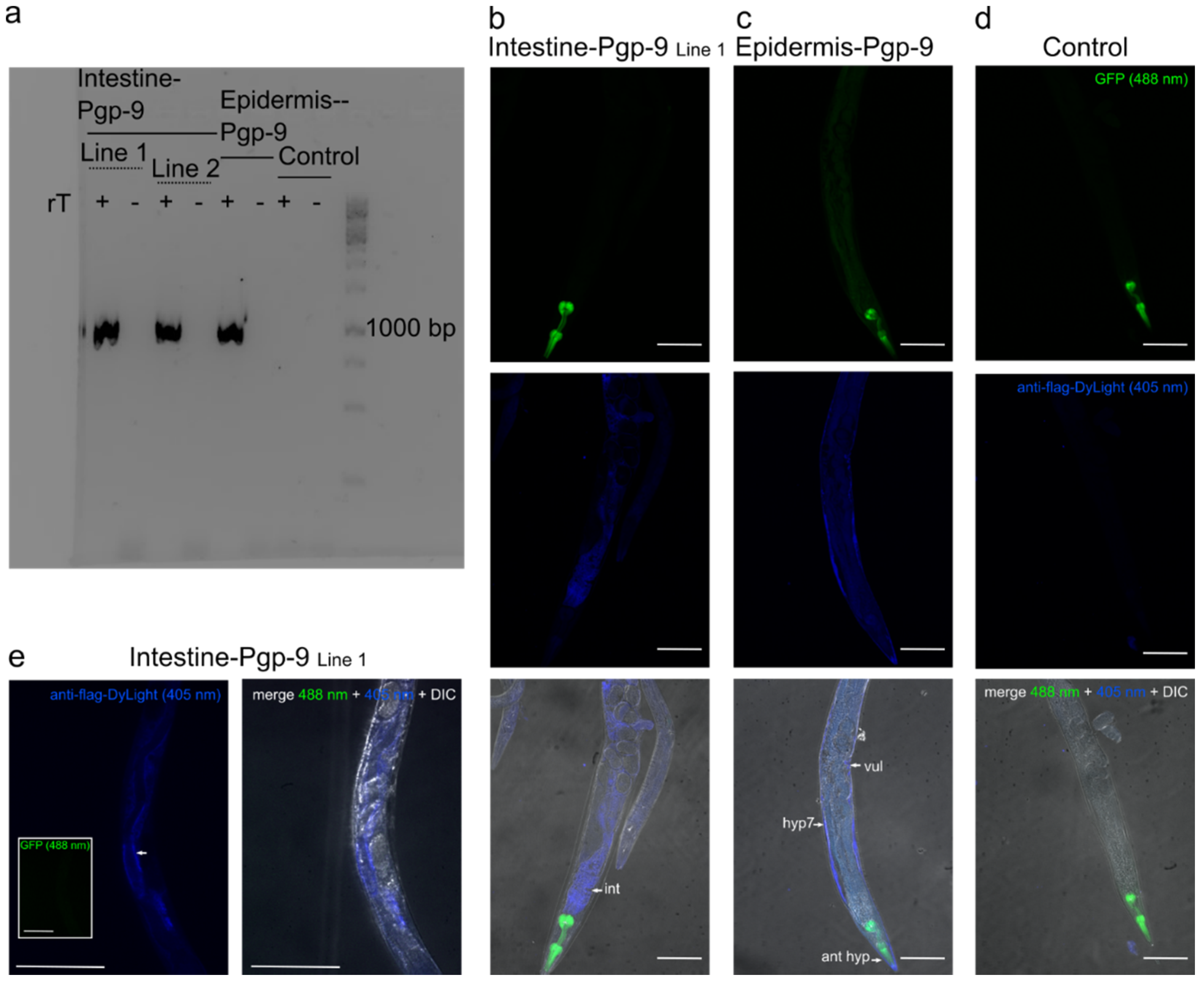 Pharmaceuticals 14 00153 g001