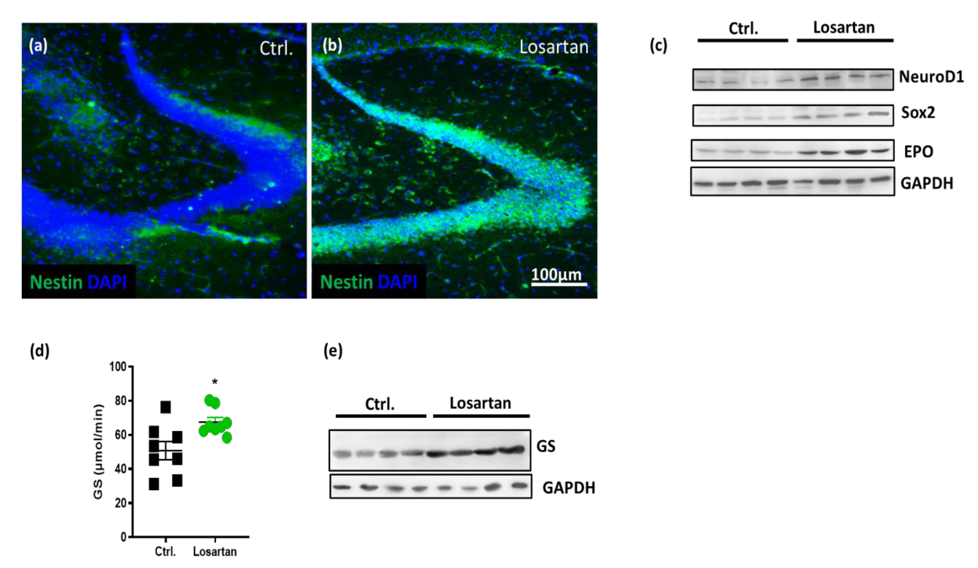 Pharmaceuticals 14 00166 g003