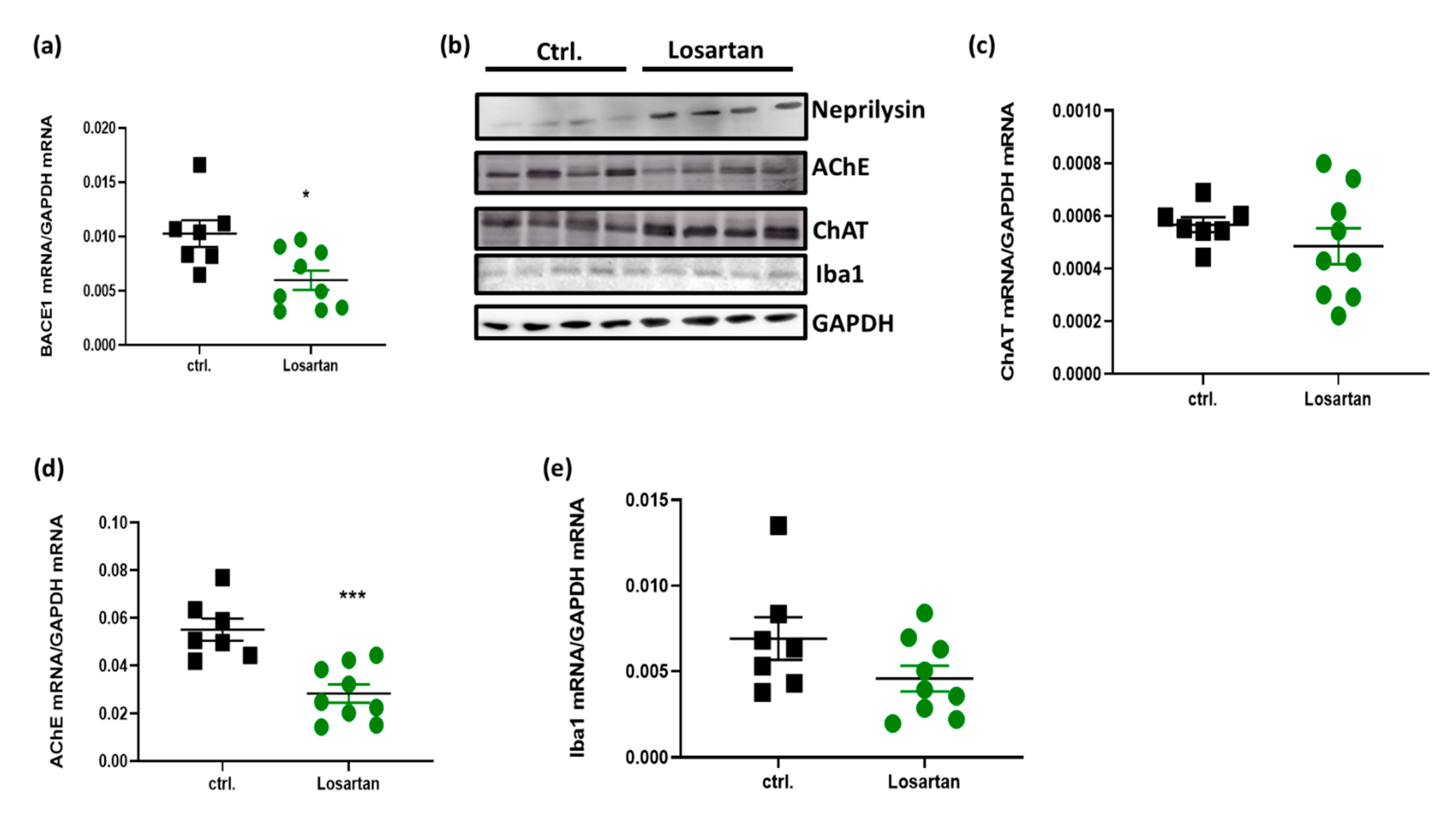 Pharmaceuticals 14 00166 g004