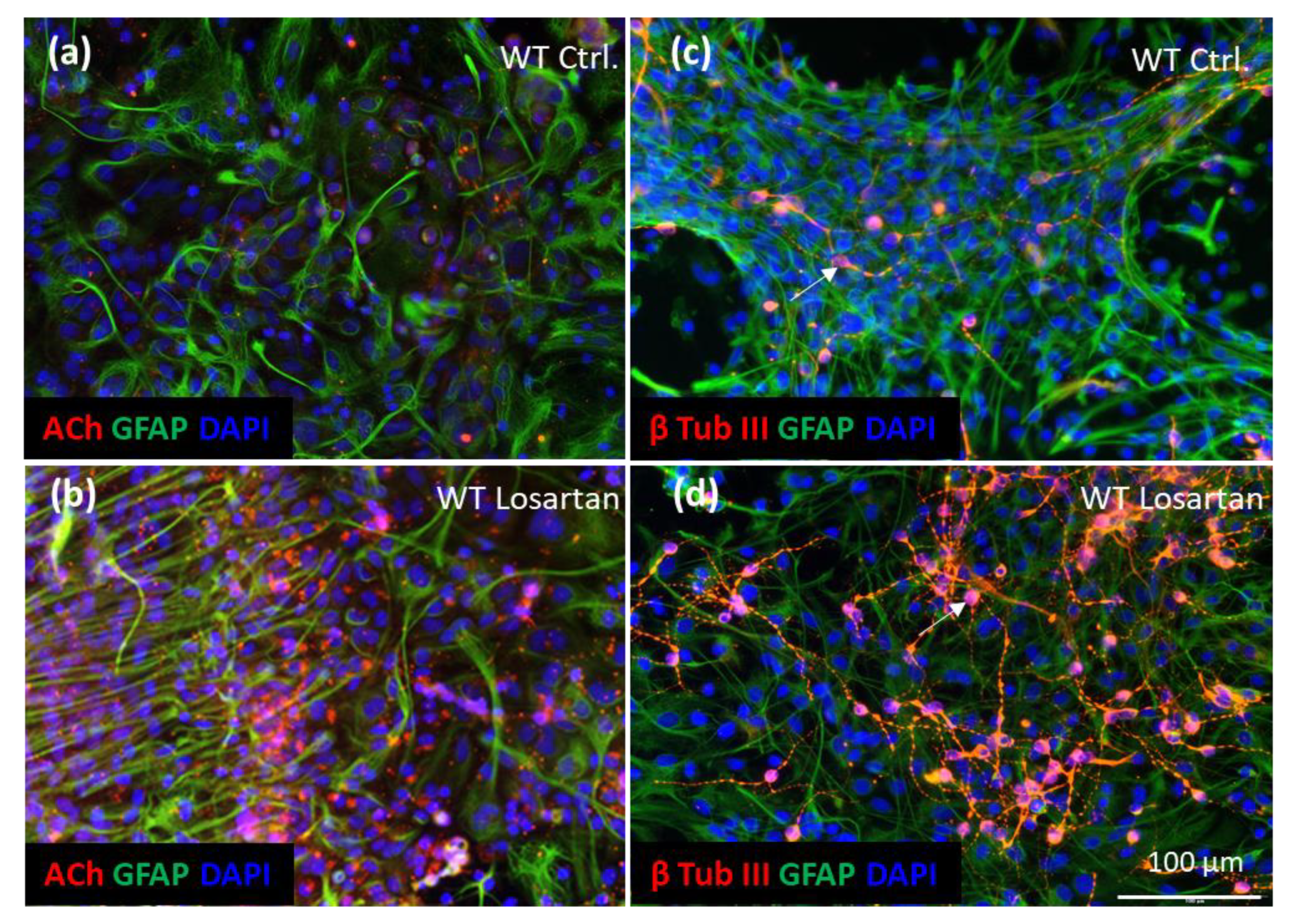 Pharmaceuticals 14 00166 g006