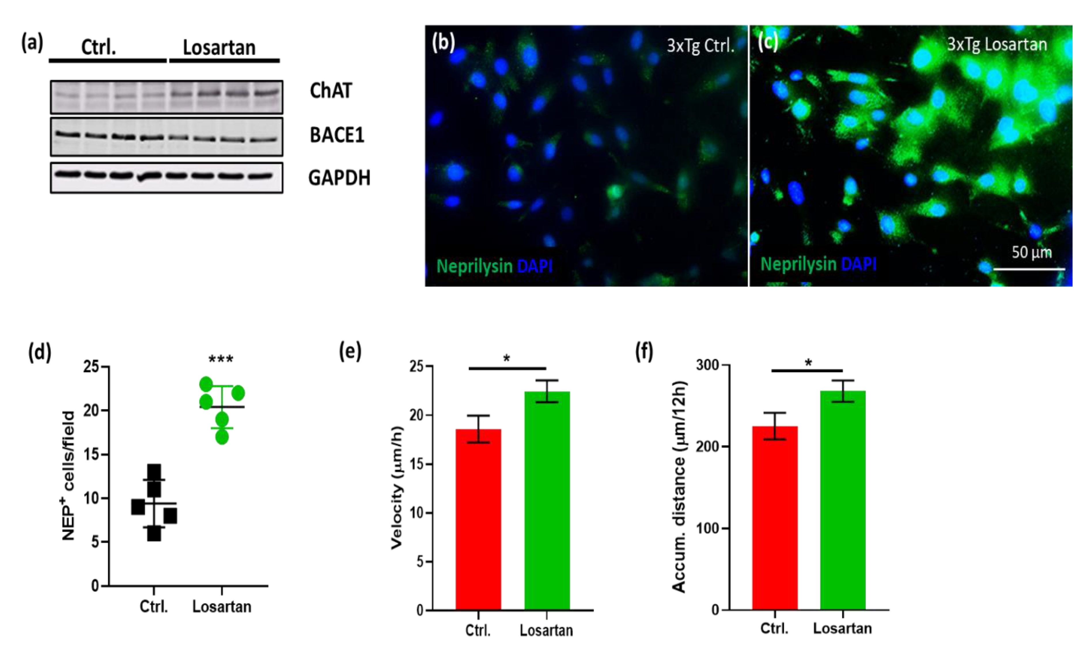 Pharmaceuticals 14 00166 g007