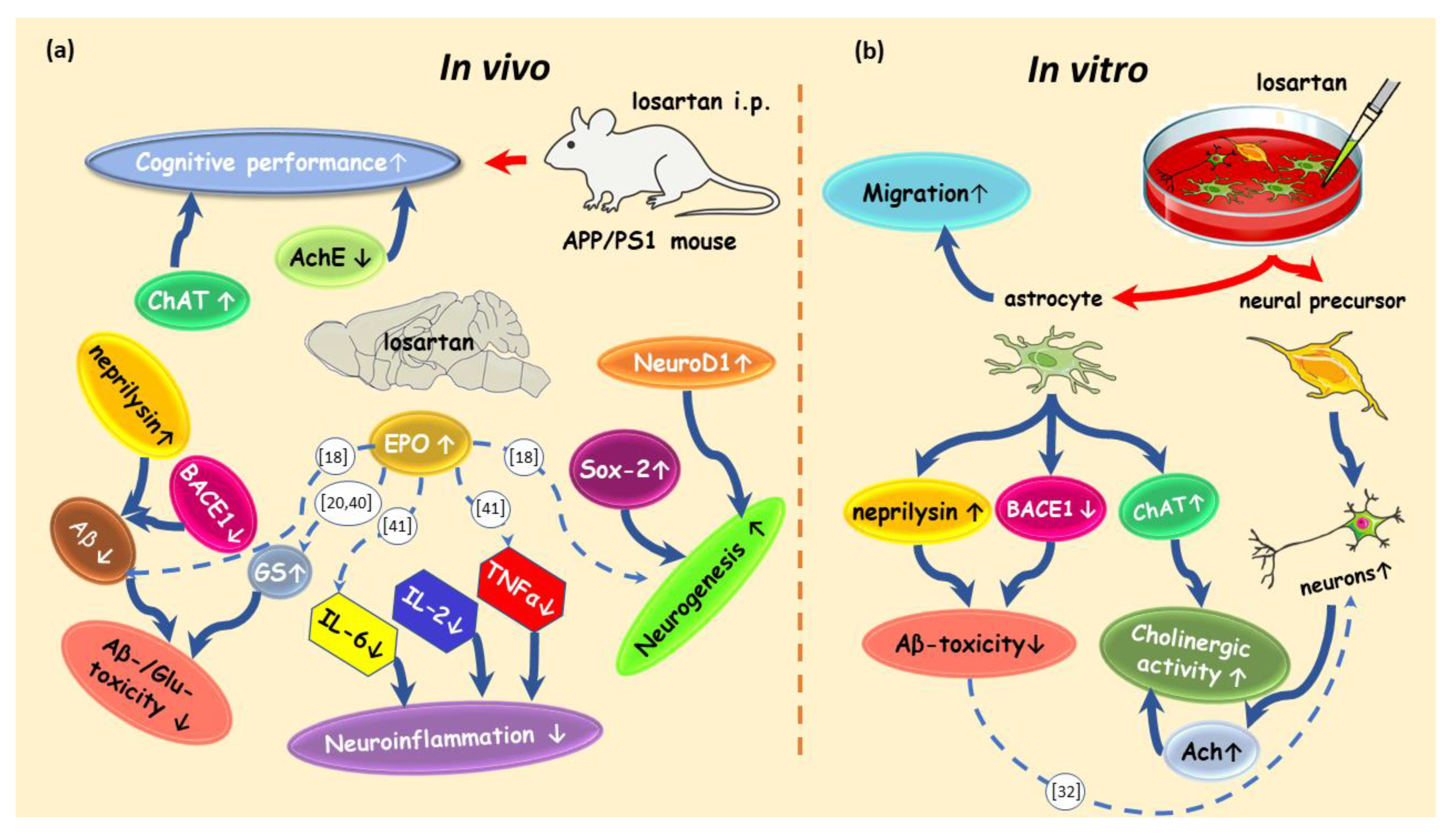 Pharmaceuticals 14 00166 g008
