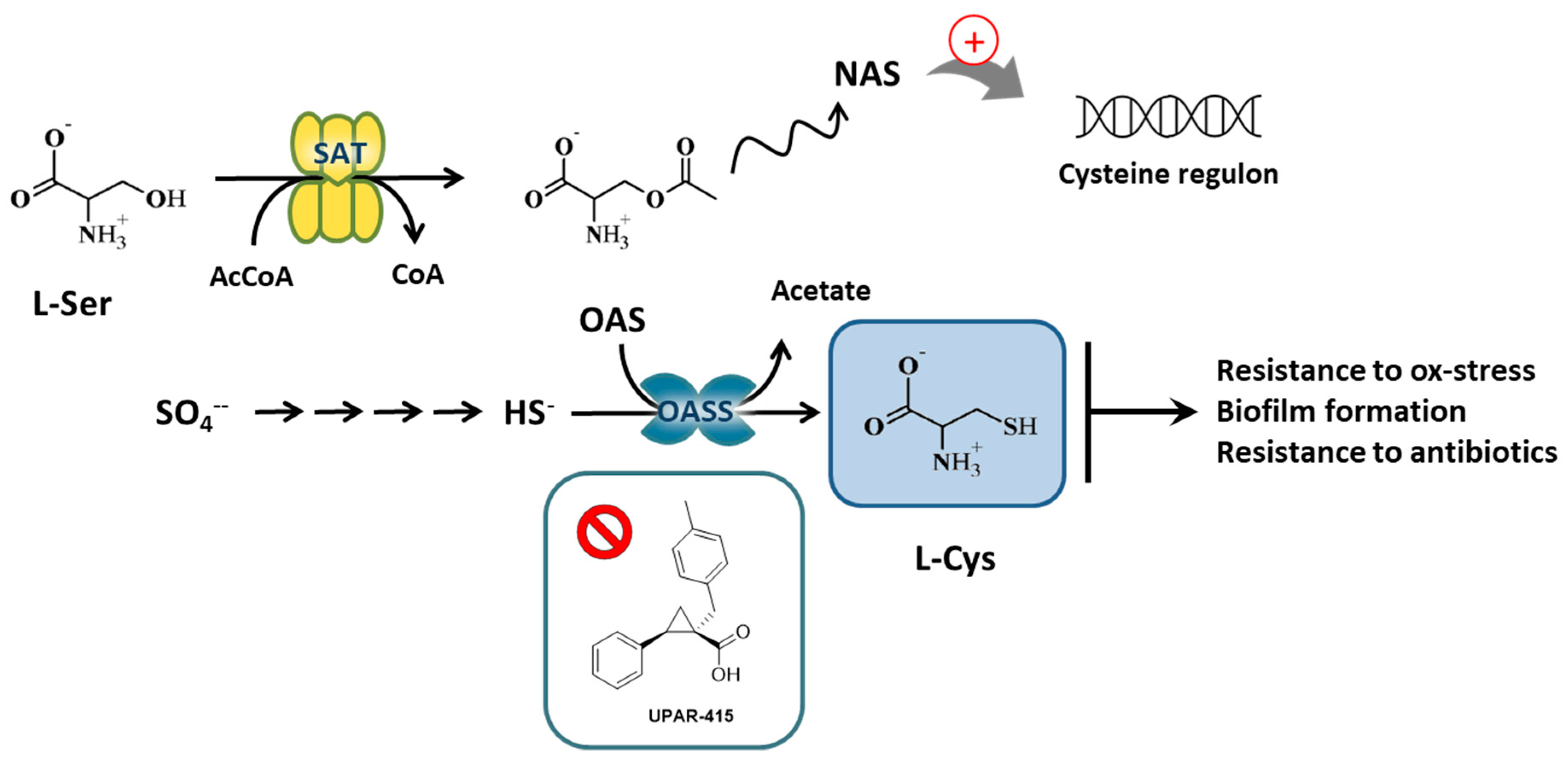 Pharmaceuticals 14 00174 g001 Pharmaceuticals 14 00174 g001