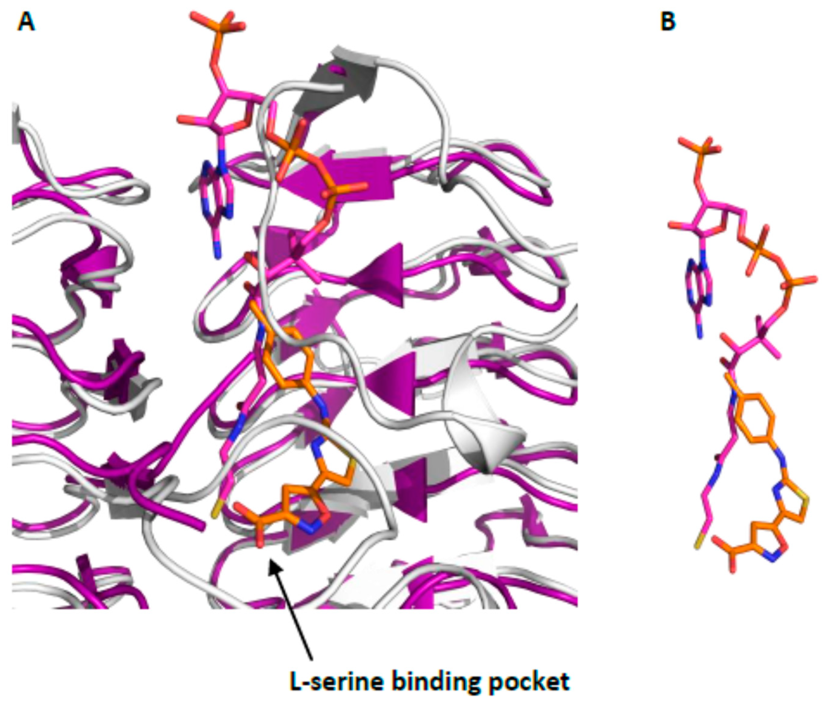 Pharmaceuticals 14 00174 g004 Pharmaceuticals 14 00174 g004