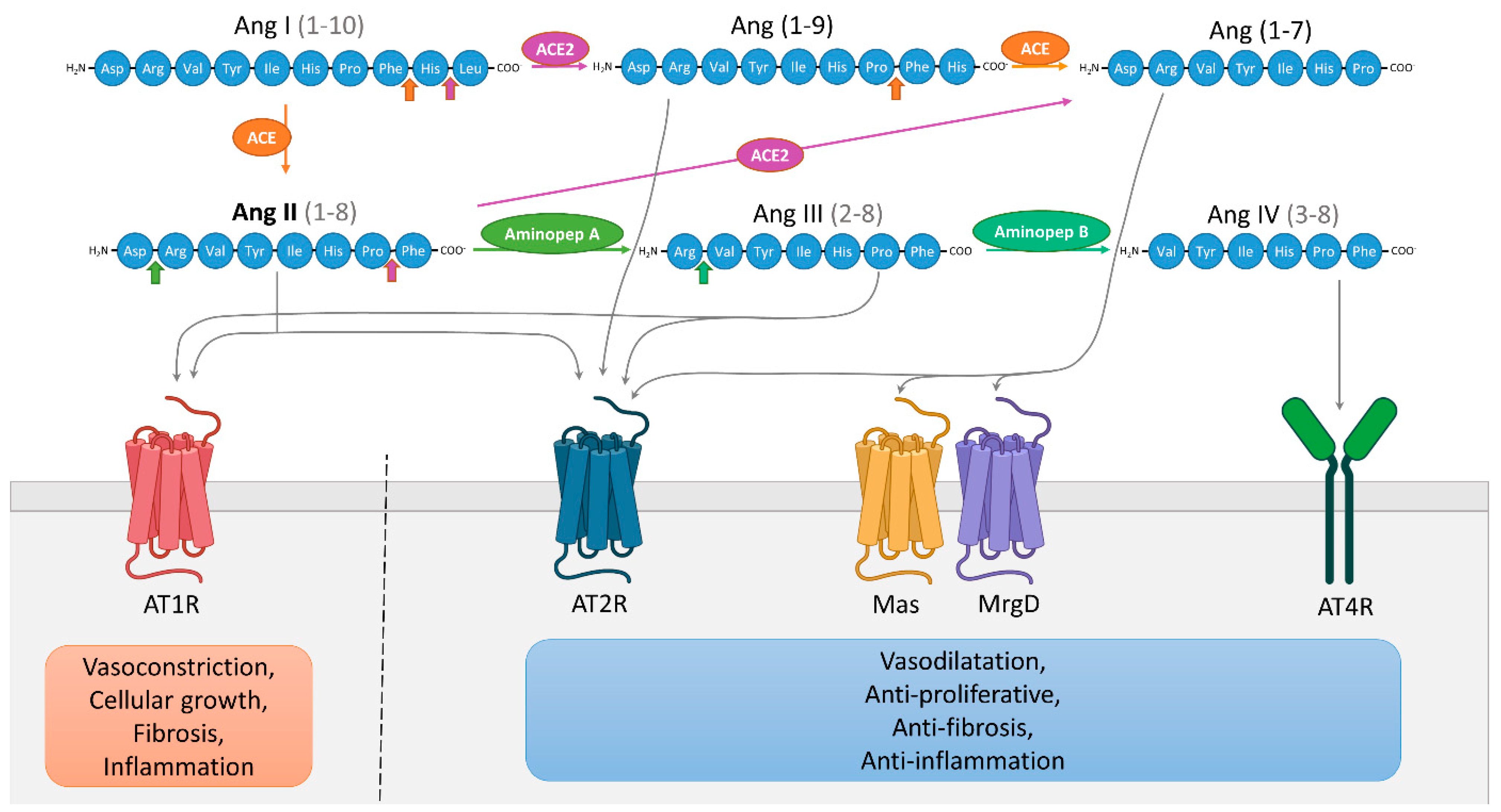 Pharmaceuticals 14 00175 g001