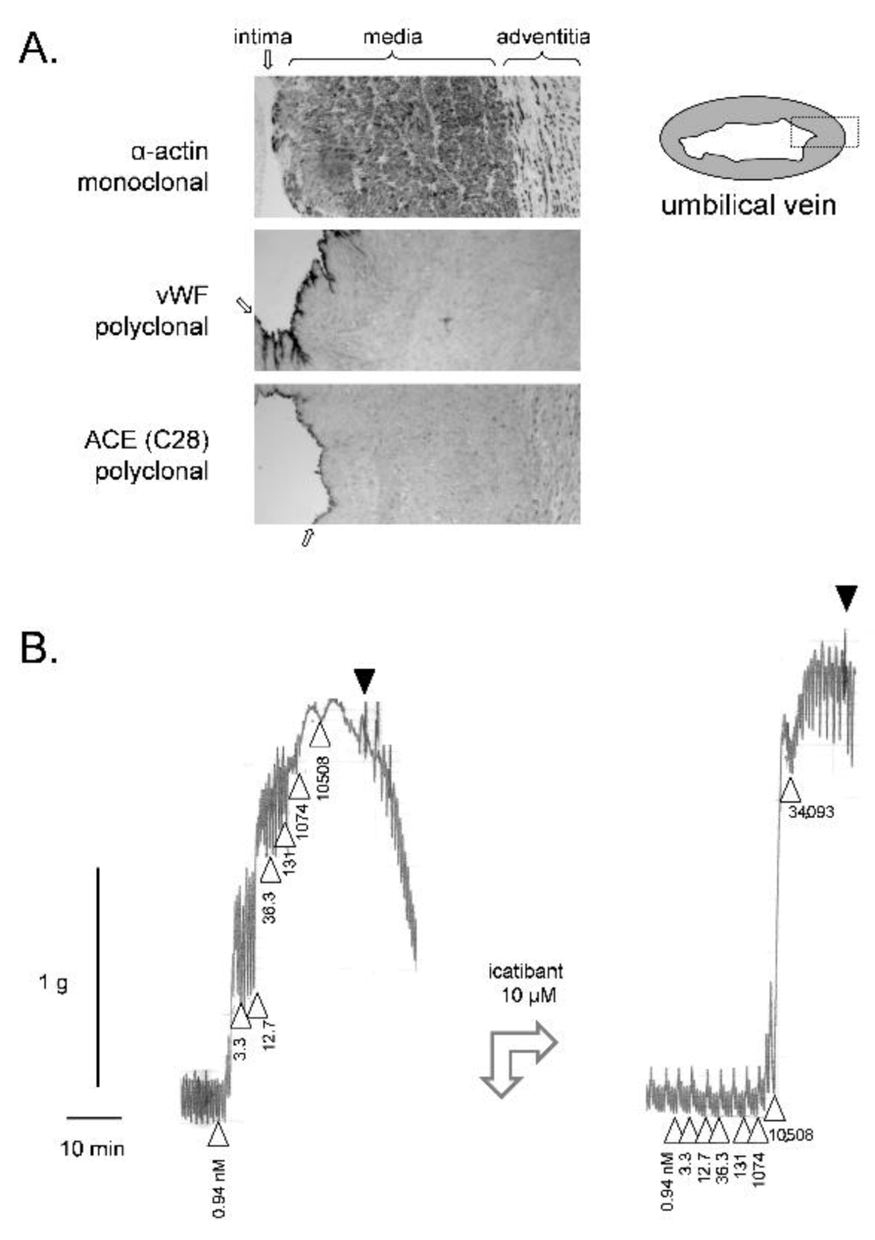 Pharmaceuticals 14 00177 g001