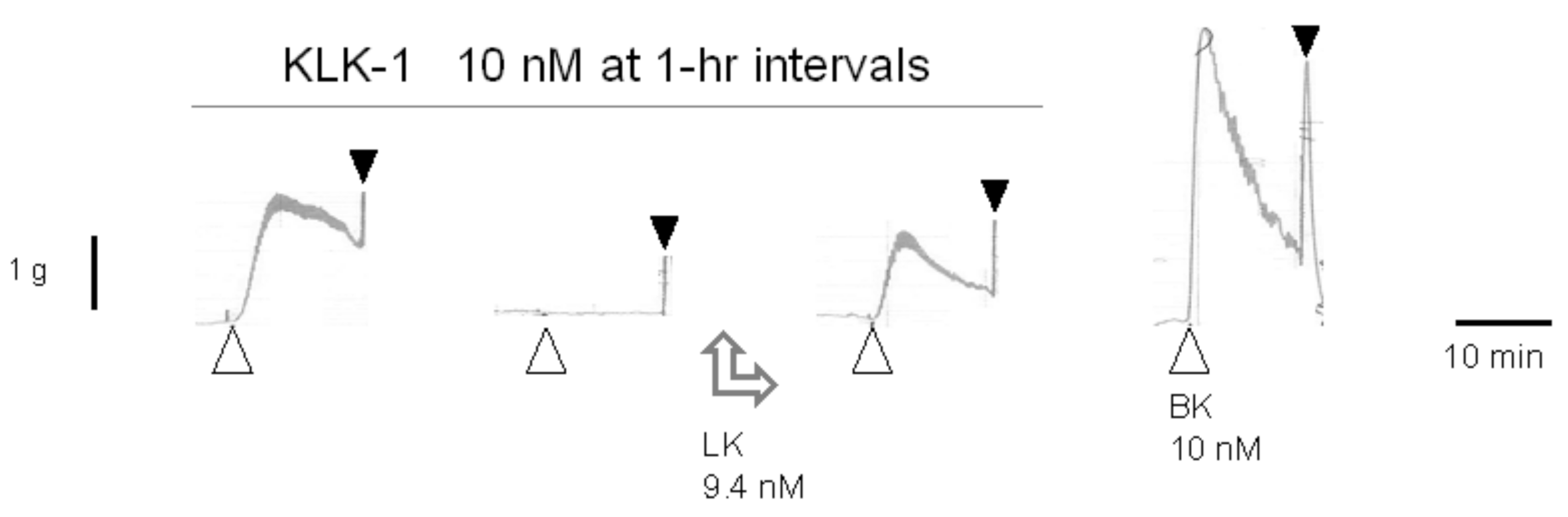 Pharmaceuticals 14 00177 g004