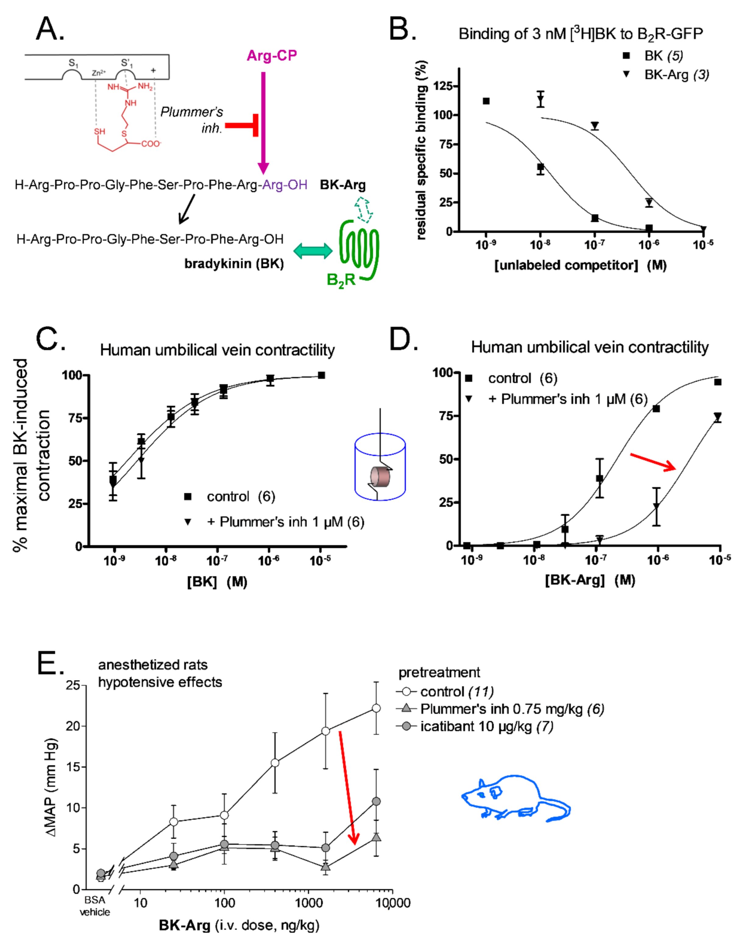 Pharmaceuticals 14 00177 g005