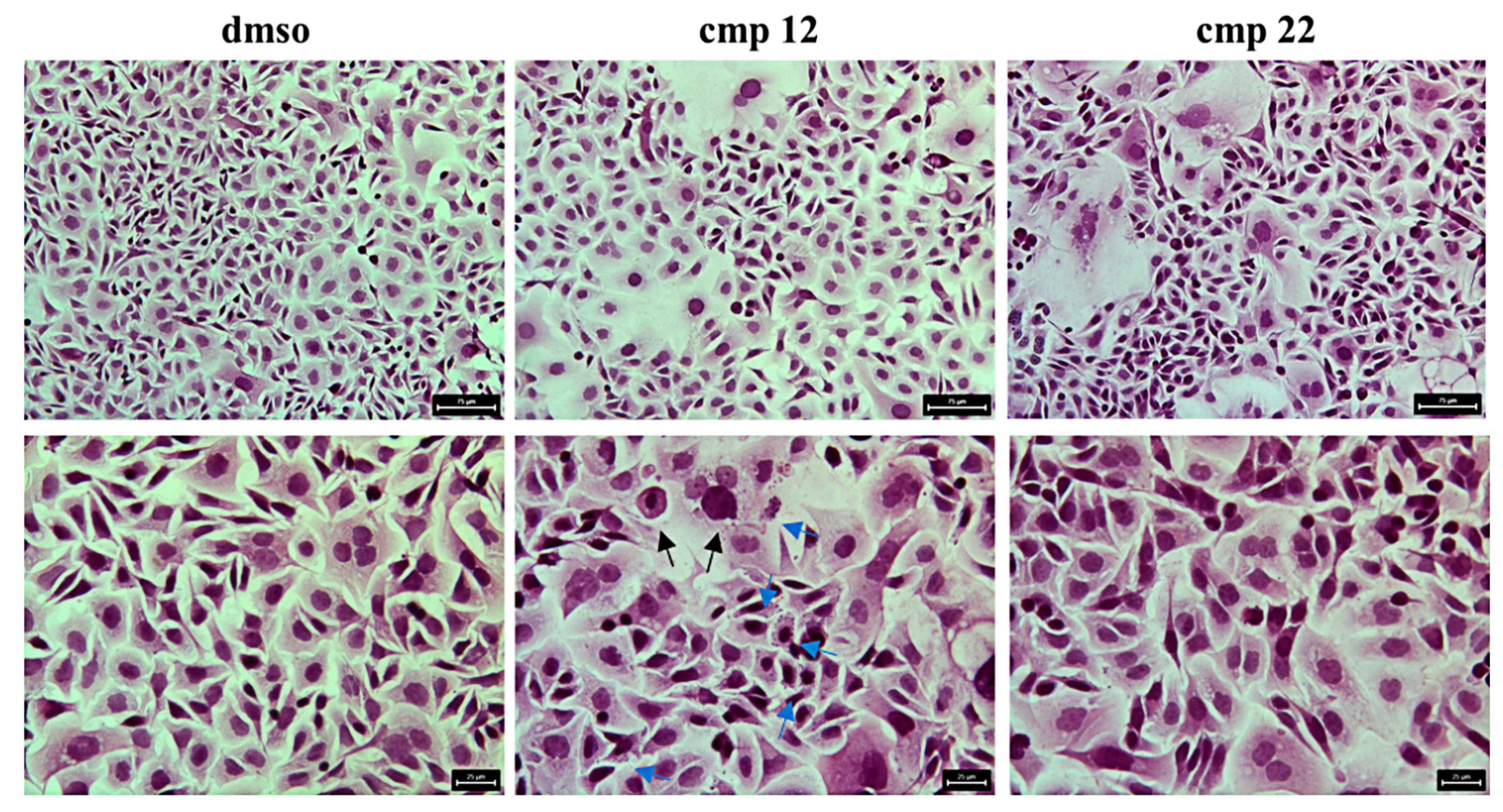 Pharmaceuticals 14 00183 g007