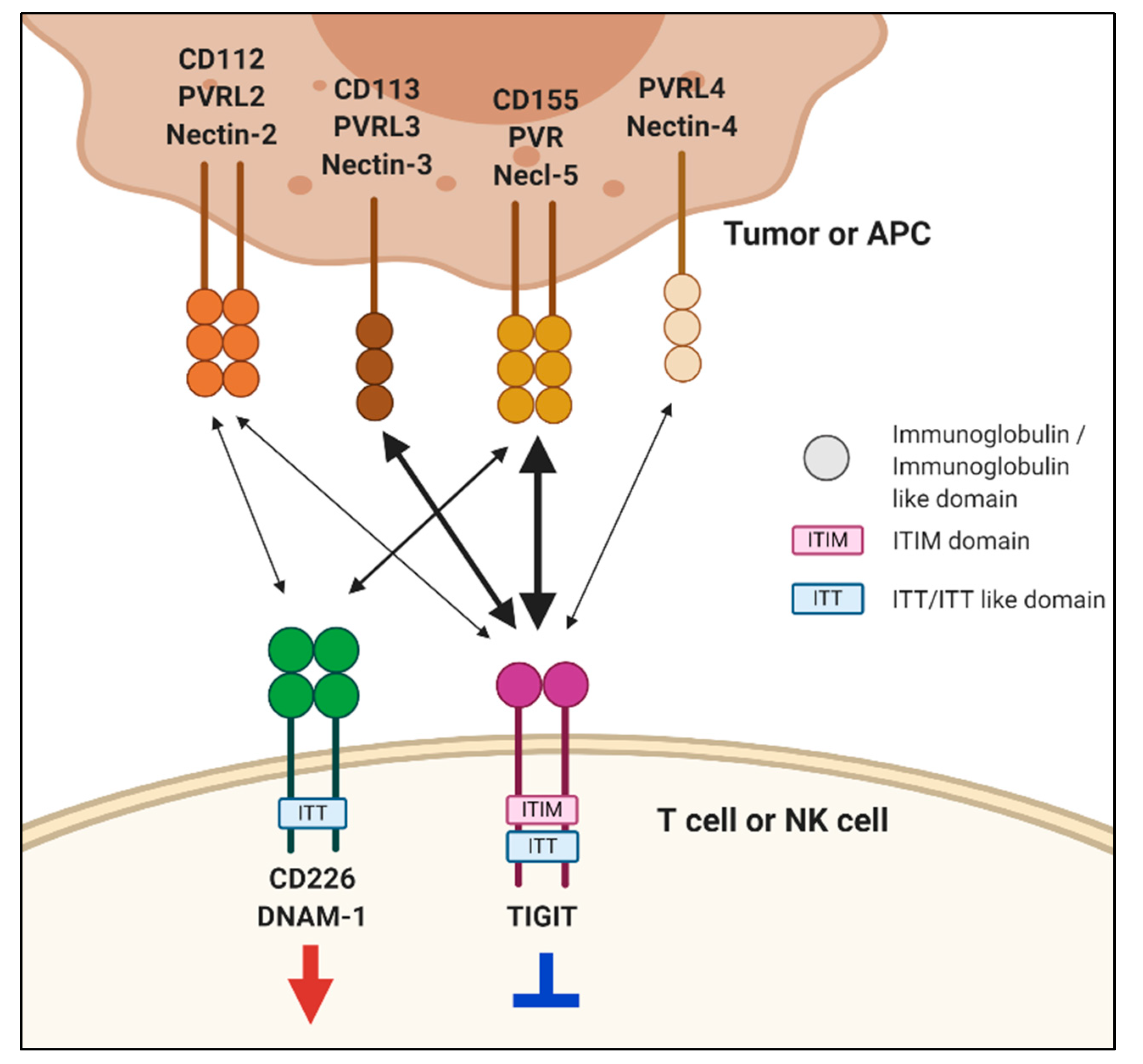 Pharmaceuticals 14 00200 g001 Pharmaceuticals 14 00200 g001