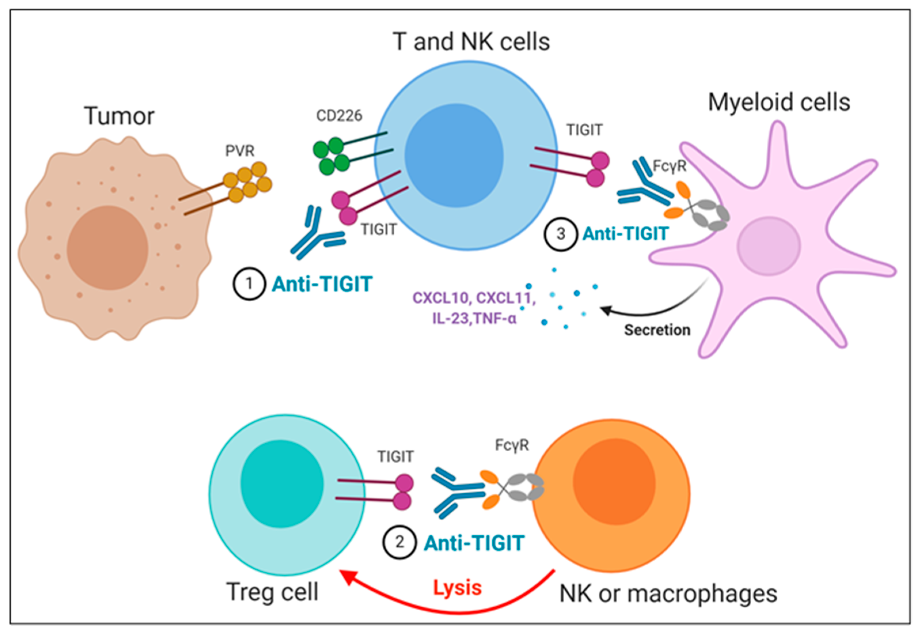 Pharmaceuticals 14 00200 g003 Pharmaceuticals 14 00200 g003
