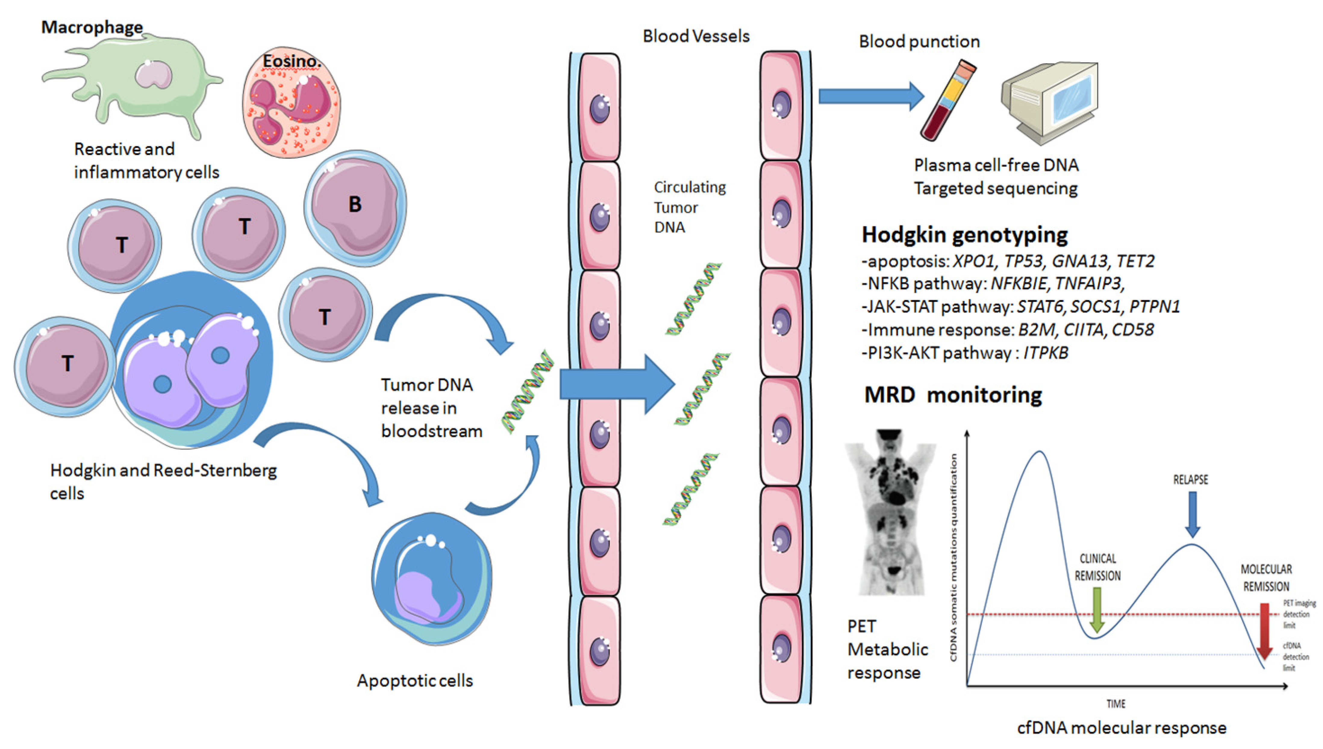 Pharmaceuticals 14 00207 g001