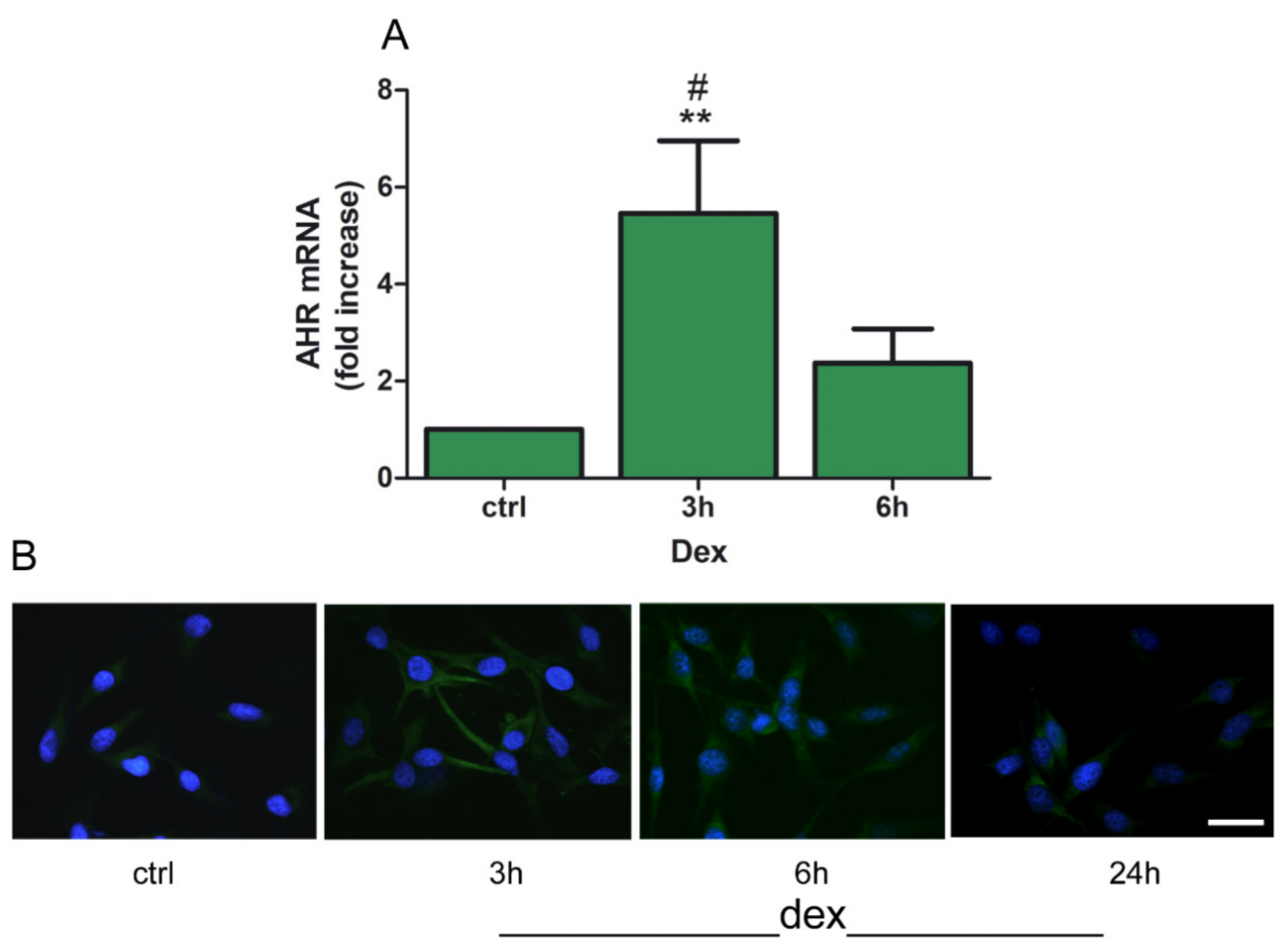 Pharmaceuticals 14 00211 g004 Pharmaceuticals 14 00211 g004
