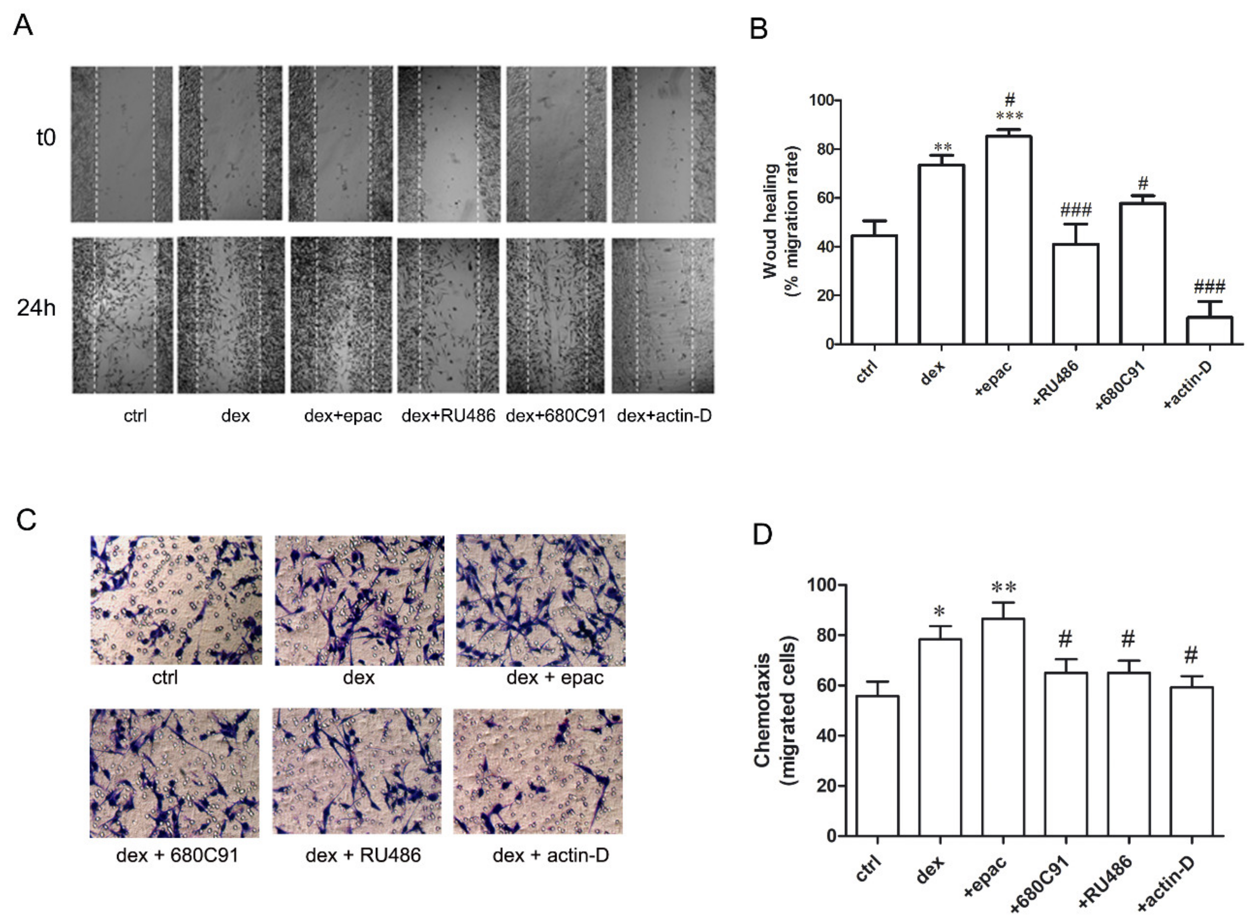 Pharmaceuticals 14 00211 g007 Pharmaceuticals 14 00211 g007