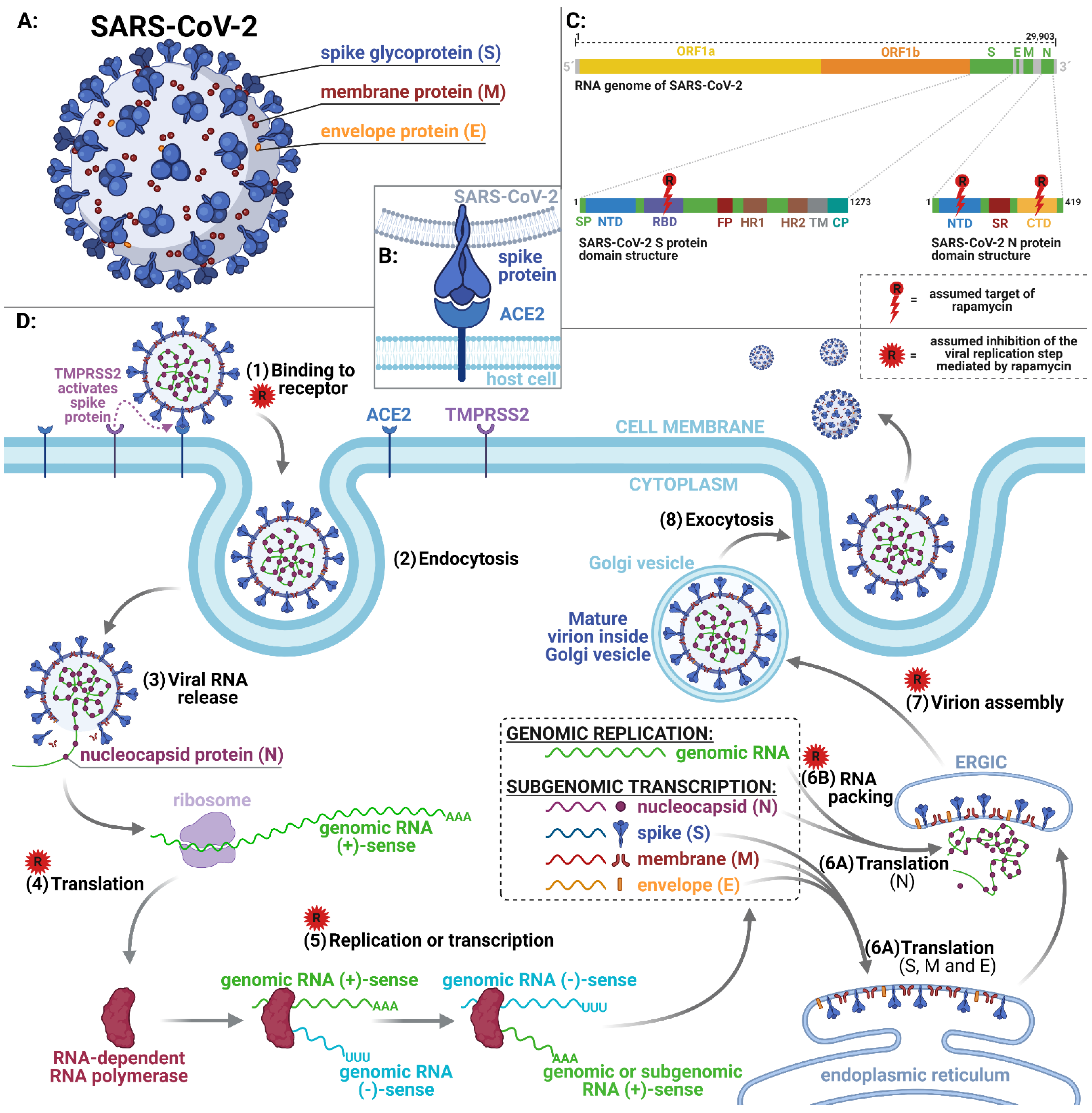 Pharmaceuticals 14 00217 g003