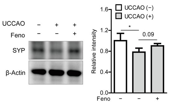 Pharmaceuticals 14 00223 g0a6