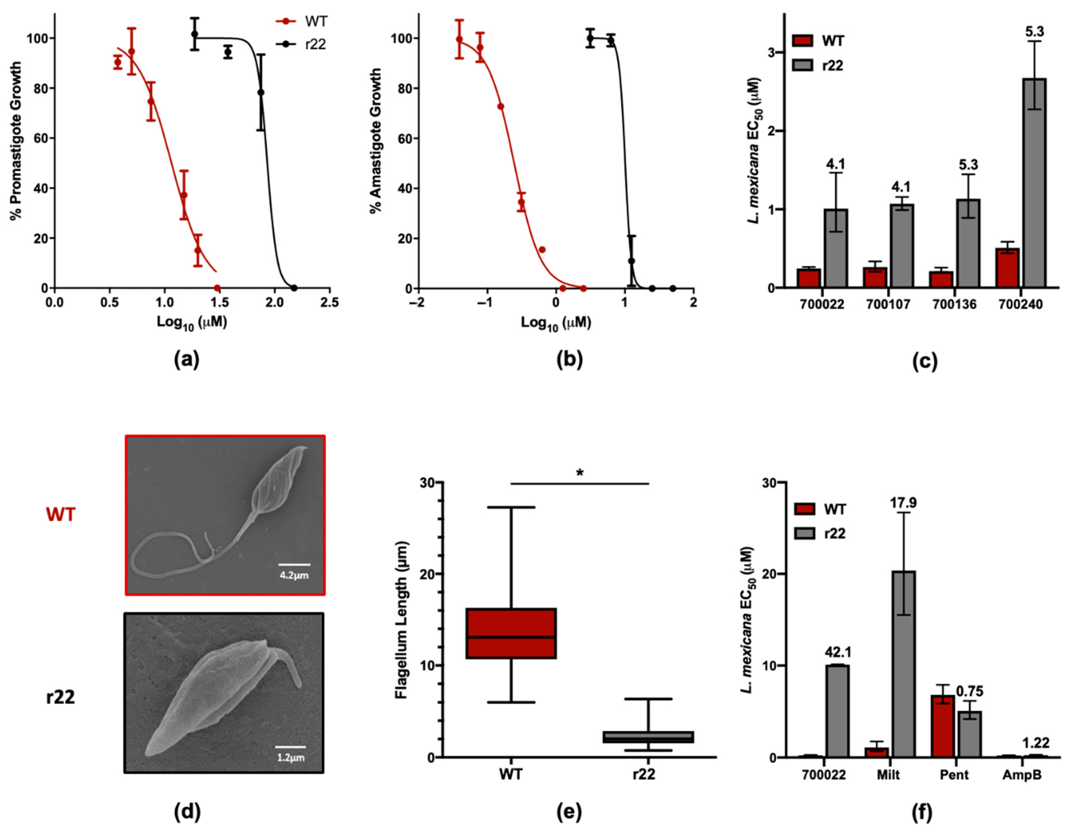 Pharmaceuticals 14 00227 g006 Pharmaceuticals 14 00227 g006