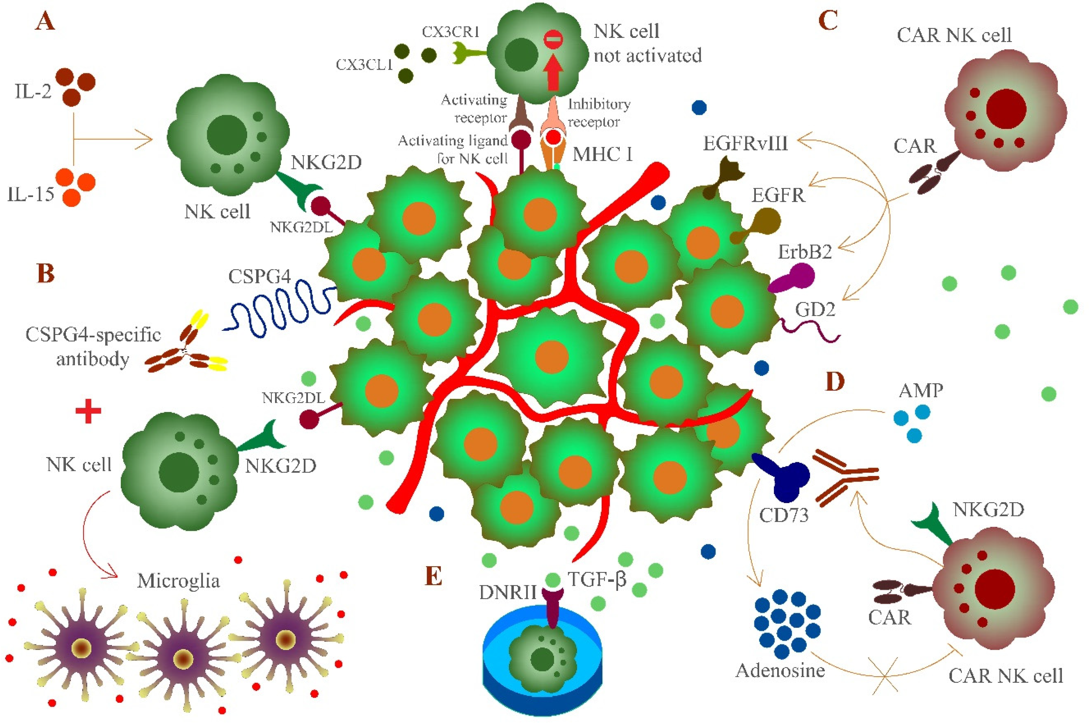 Pharmaceuticals 14 00236 g001