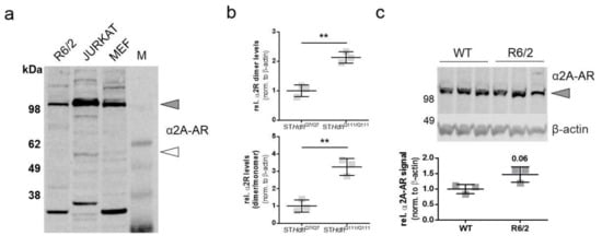 Pharmaceuticals 14 00257 g0a1