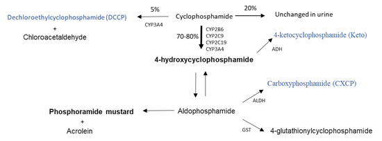 Pharmaceuticals 14 00272 g001